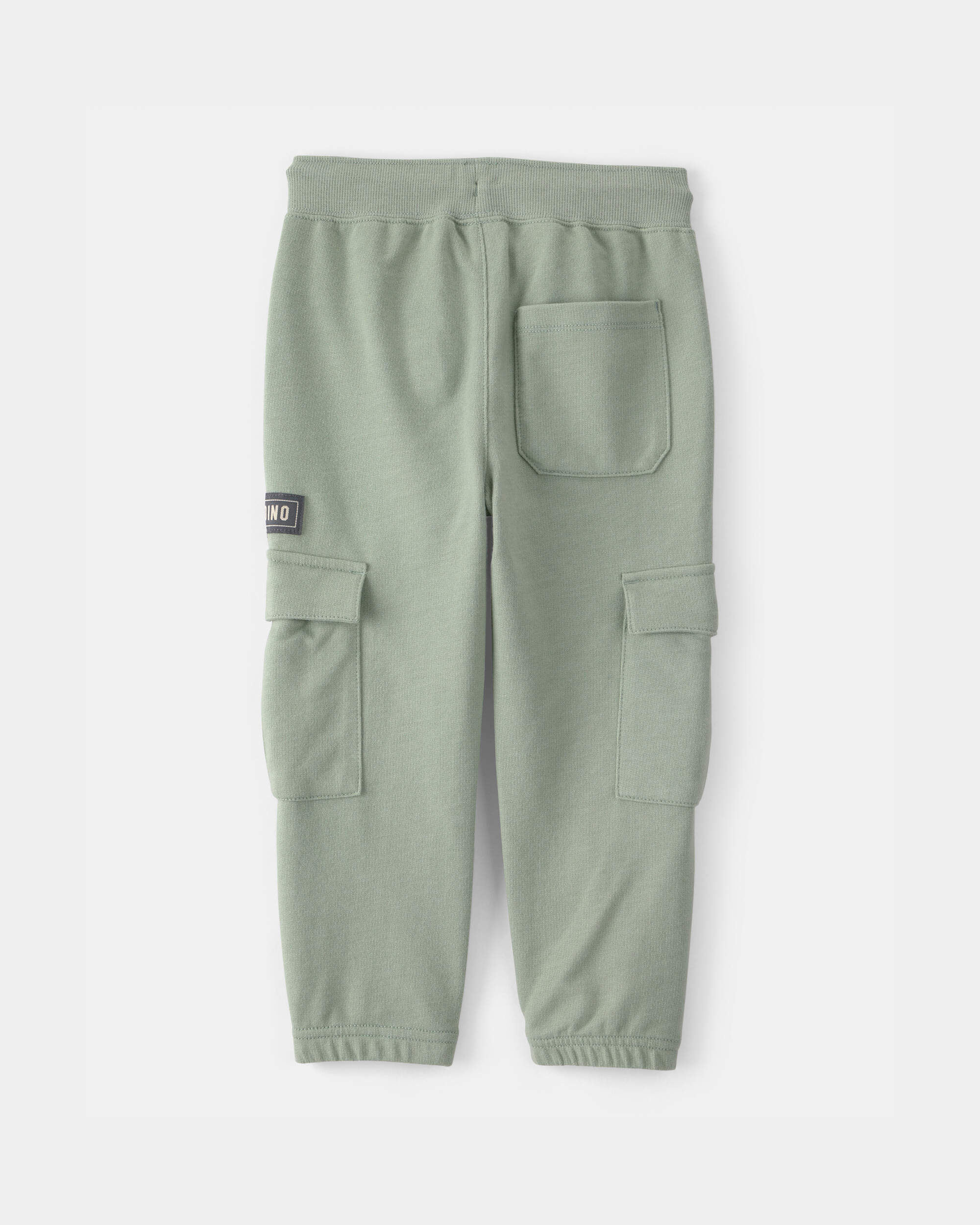 Toddler Boy 'Camp Dino' French Terry Cargo Joggers - Green