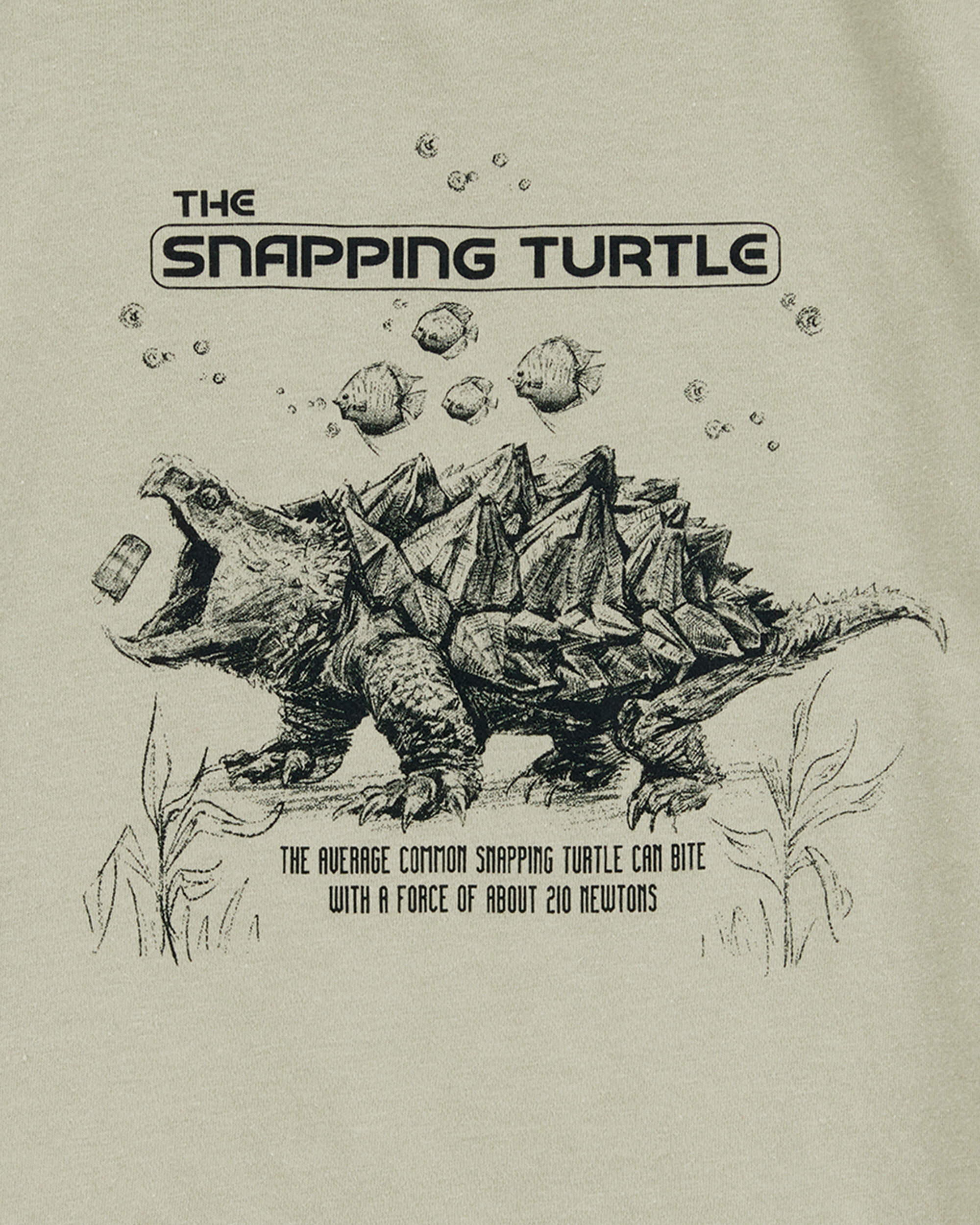Boys Turtle Short-Sleeve Graphic Tee - Grey