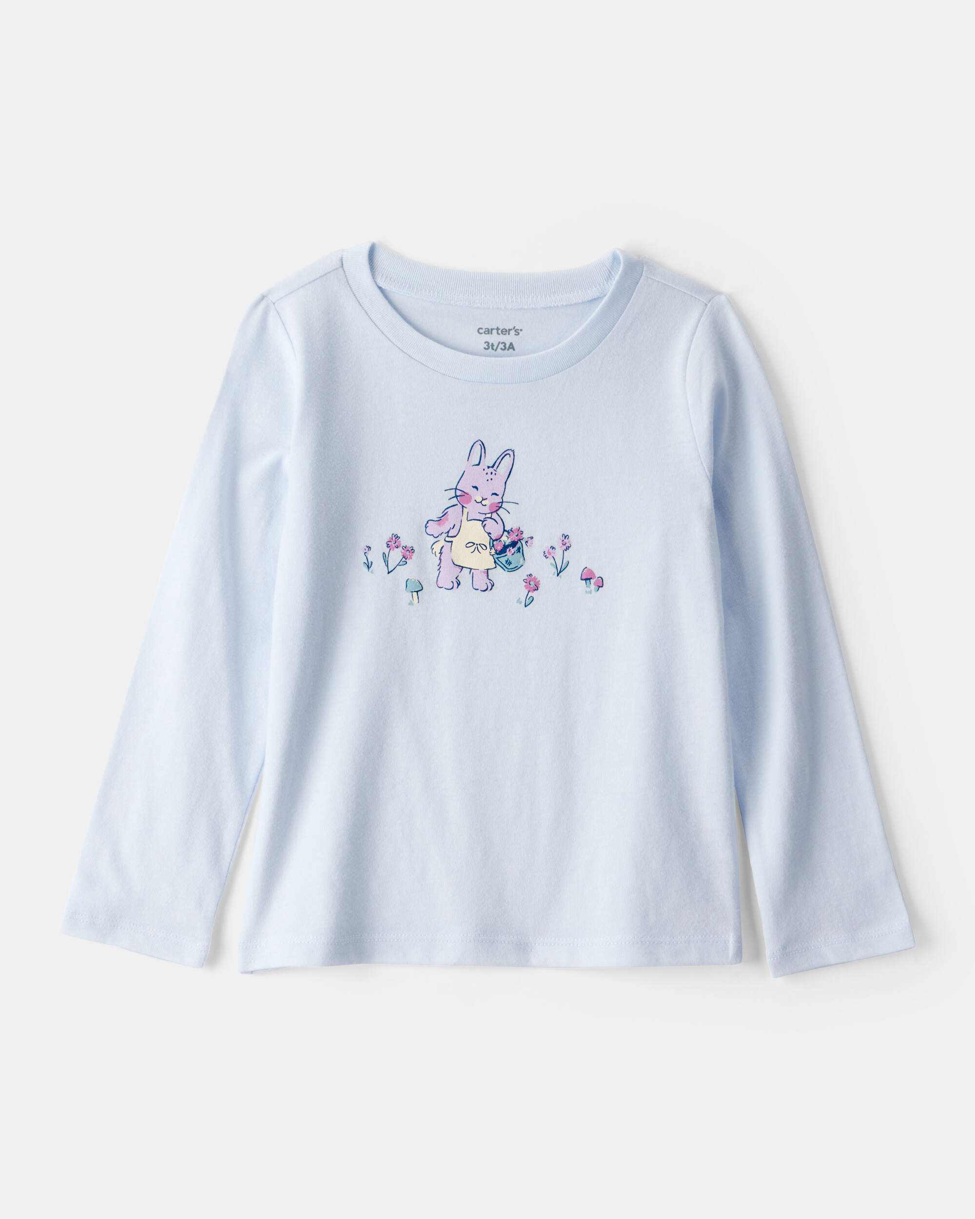 Toddler Girl Bunny Long-Sleeve Graphic Tee - Blue