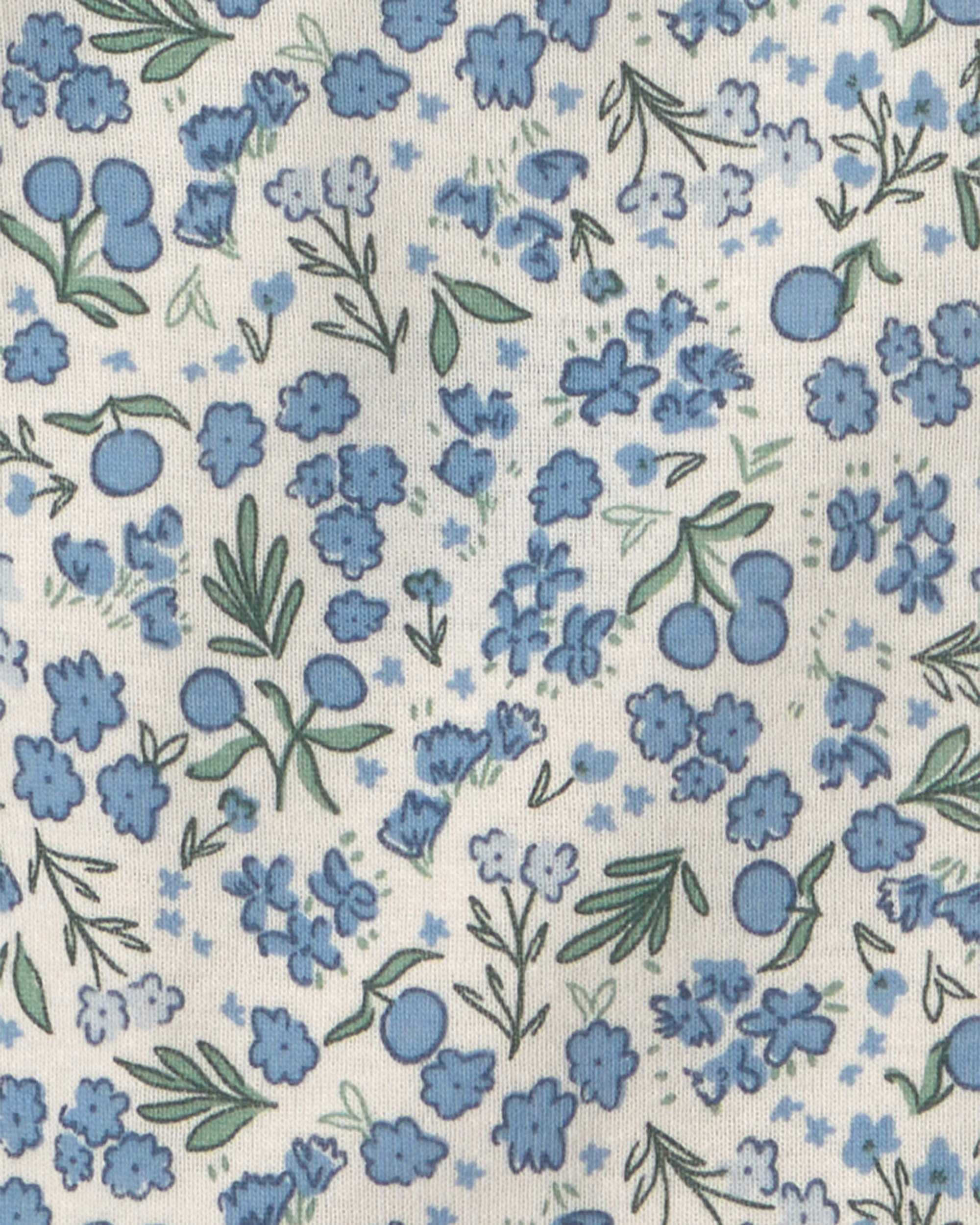 Baby Girl 4-Pack Blueberry Floral Long-Sleeve Bodysuits - Blue