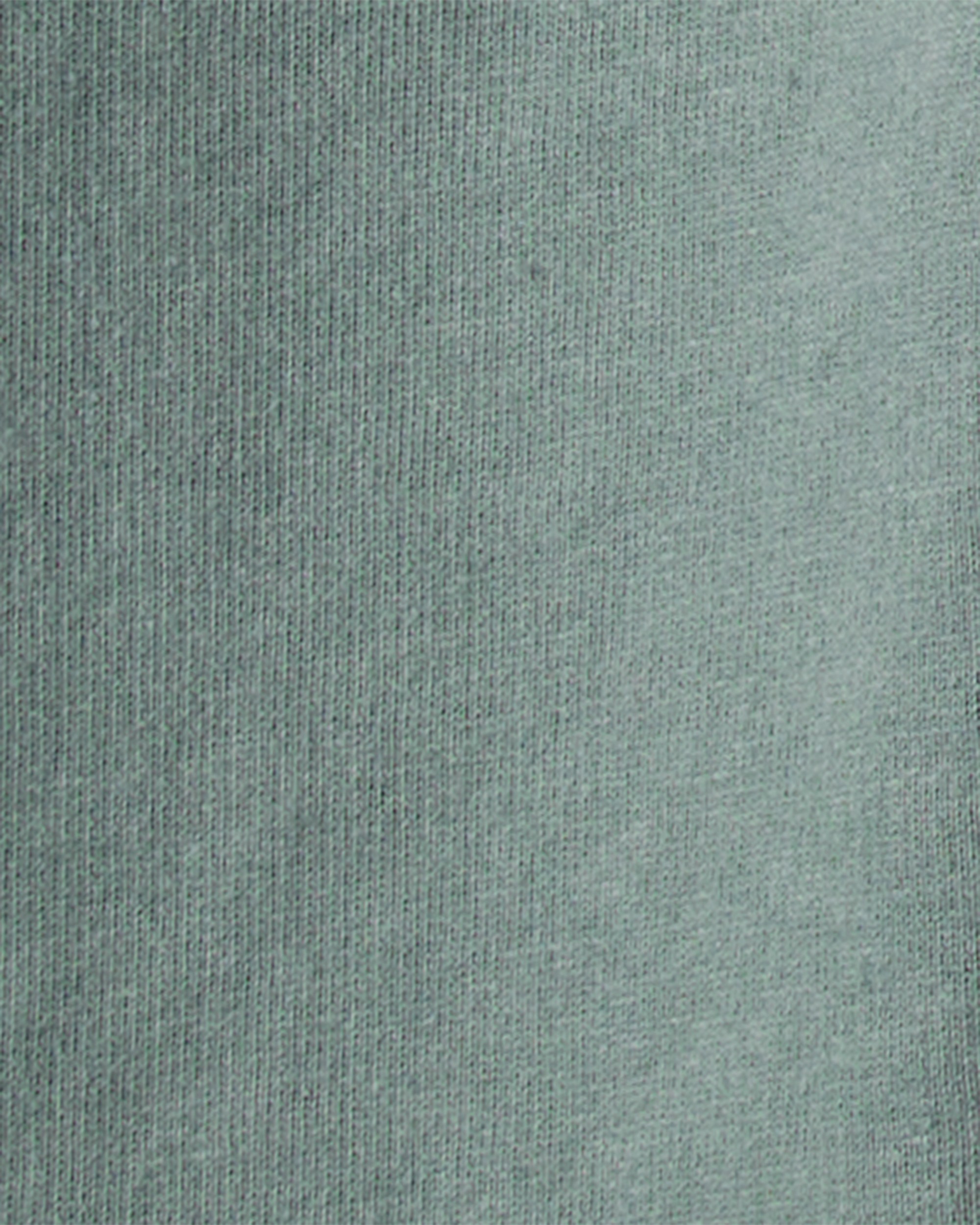 Toddler Boy Dinosaur French Terry Long-Sleeve Tee & Pant Set- Green/Grey