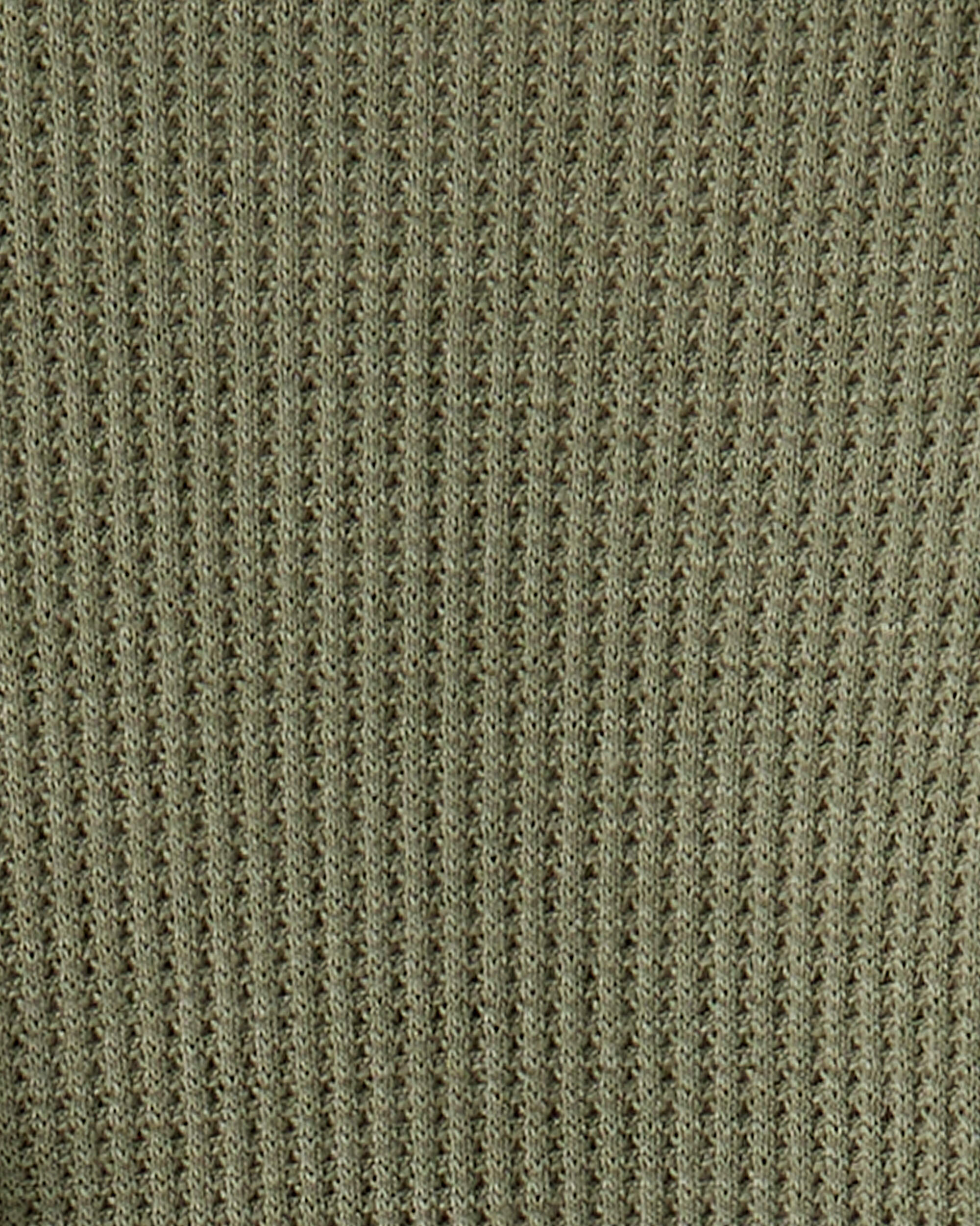 Baby Boy 2-Pack Dinosaur Print PurelySoft Long-Sleeve Multipack Bodysuits - Green