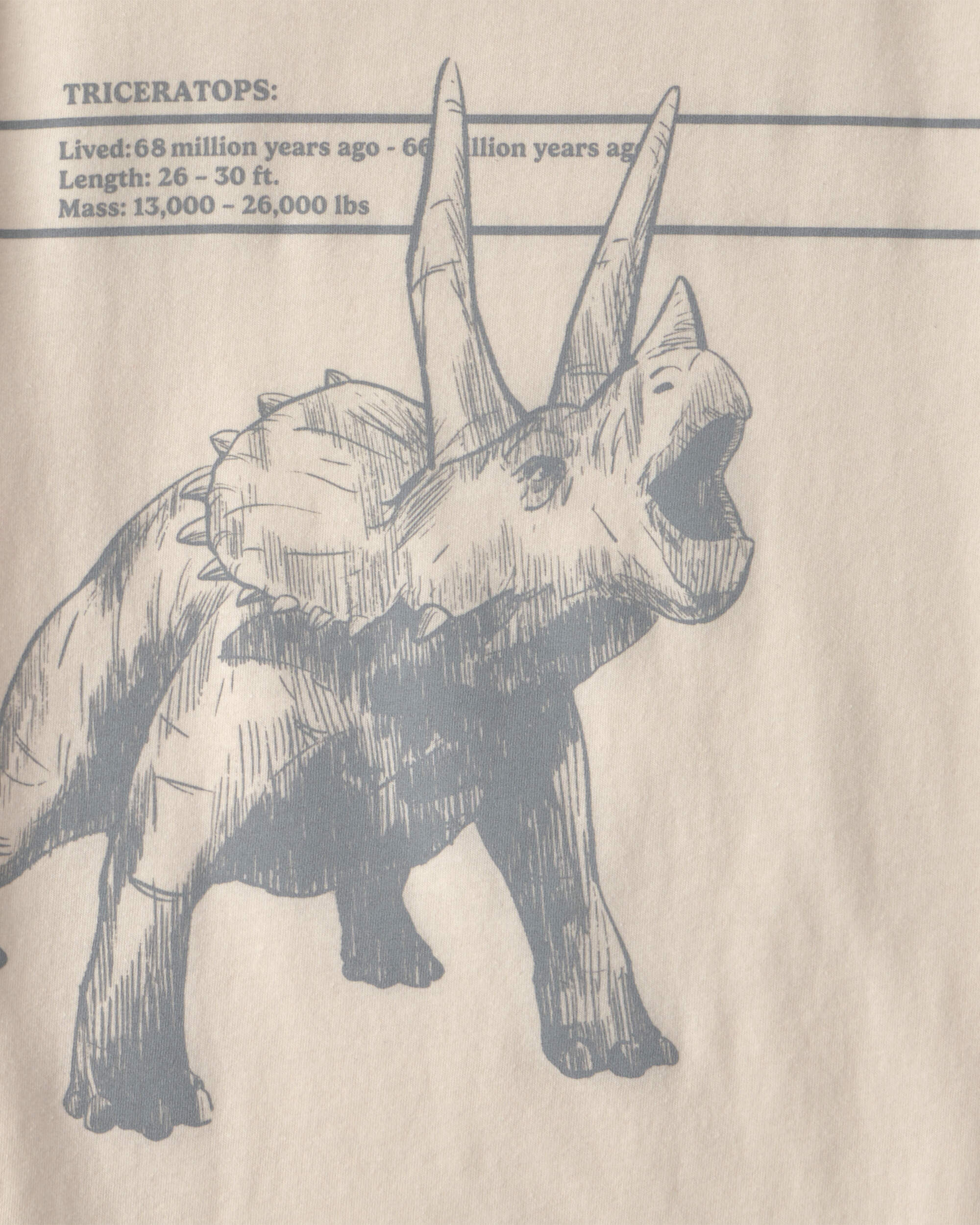 Boys Triceratops Dinosaur Graphic Tee – Cream