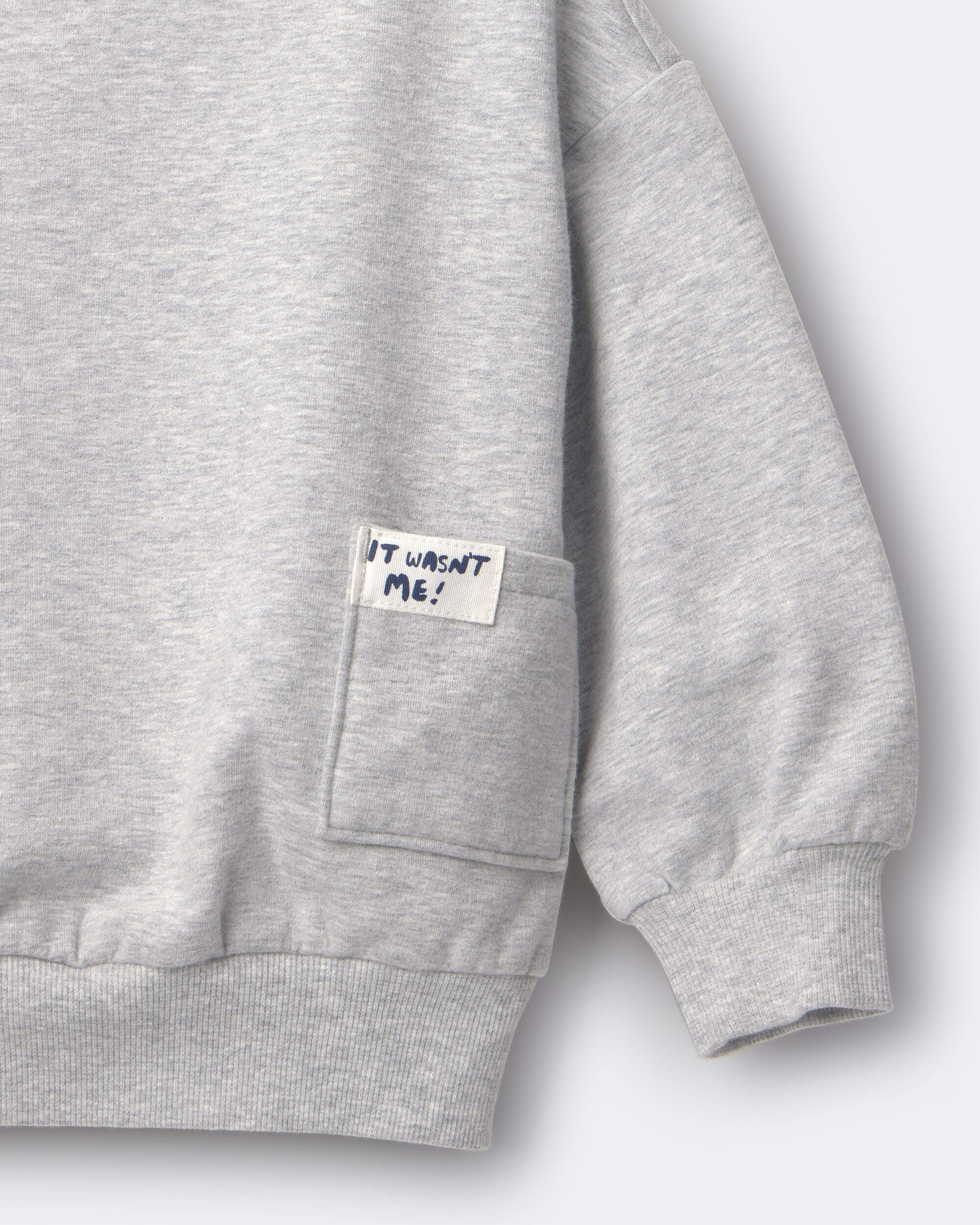 Toddler 'It Wasn't Me!' Otter Sweatshirt™ with Pockets - Heather Grey