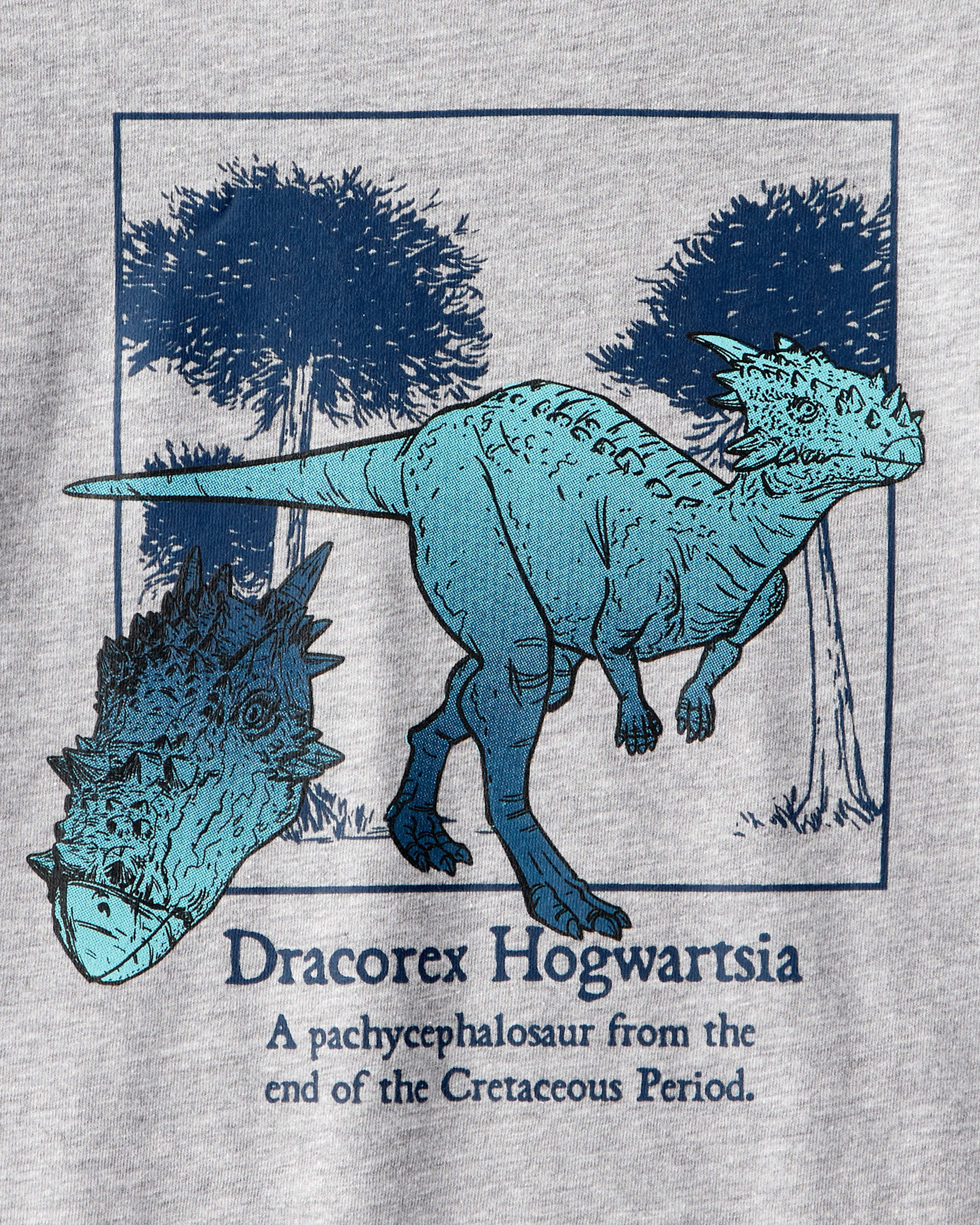 Boys Dinosaur Long-Sleeve Graphic Tee - Grey