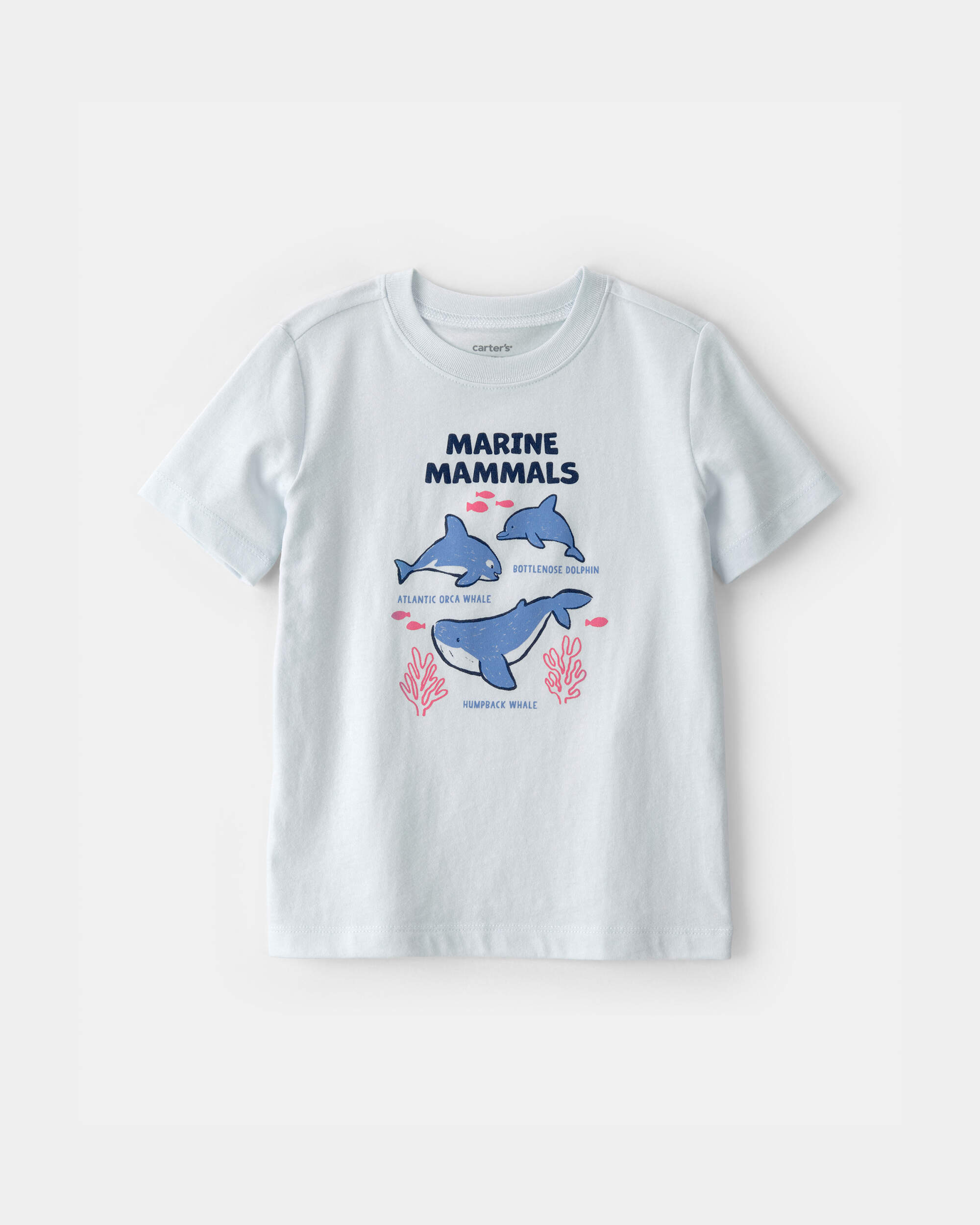 Toddler Dolphin Graphic Tee - Blue
