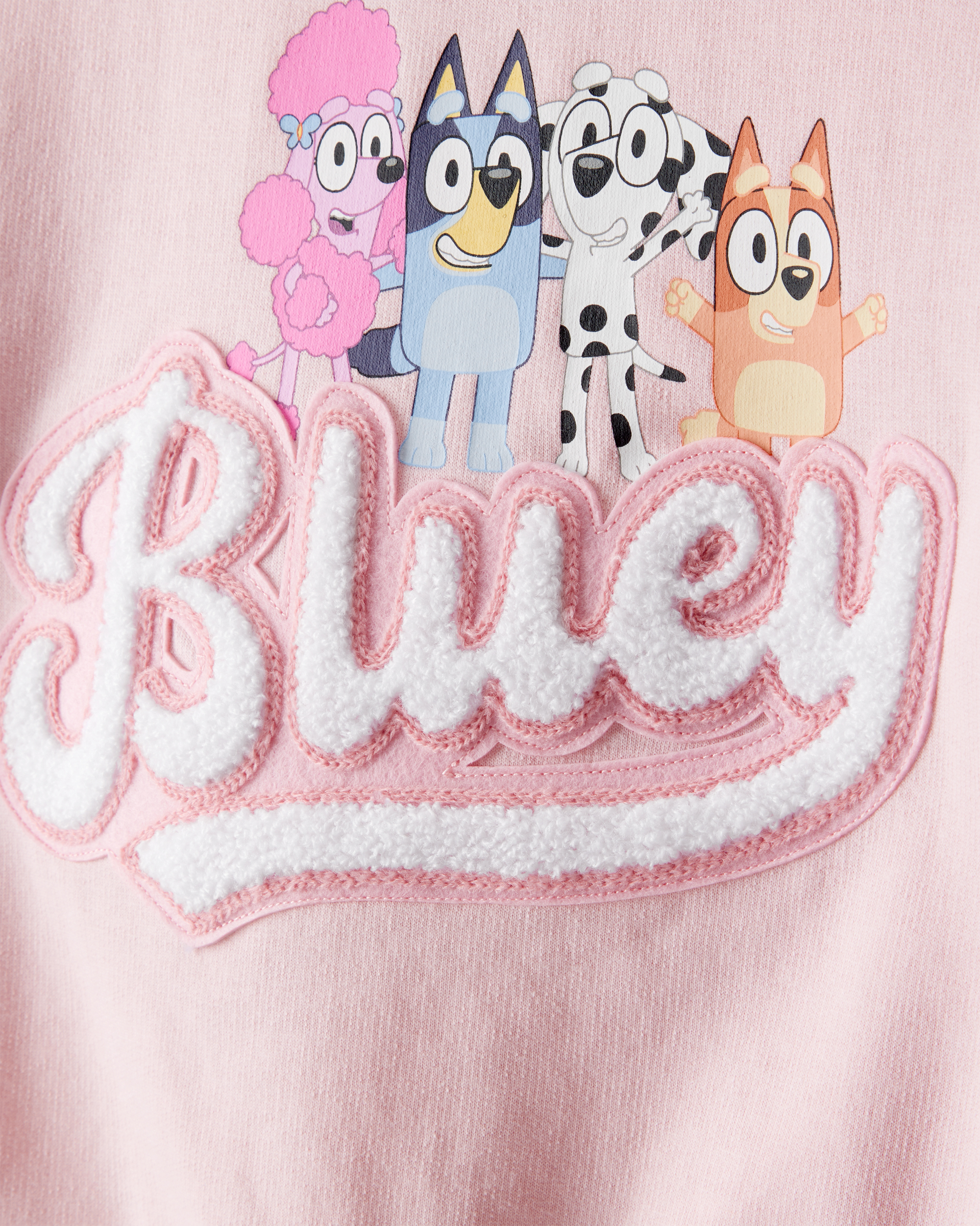 Toddler Girl Bluey French Terry Pullover - Pink