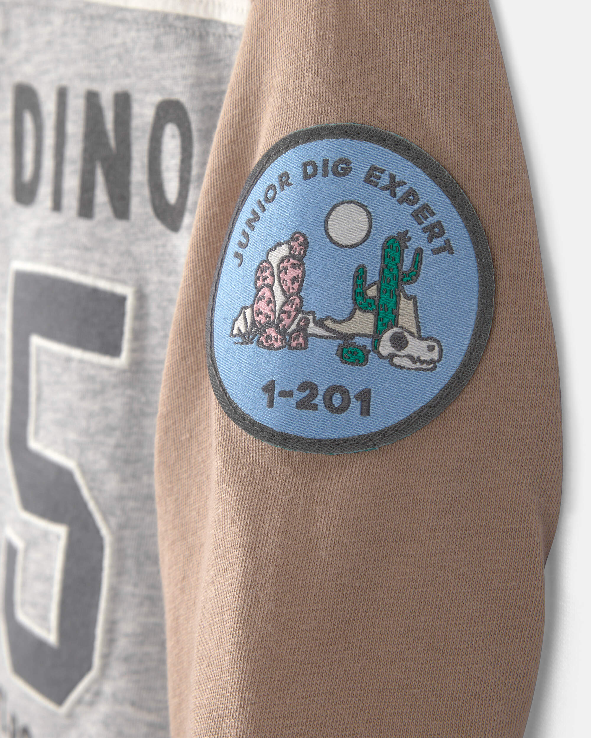 Baby Boy 'Camp Dino' Long-Sleeve T-Shirt - Brown/Grey