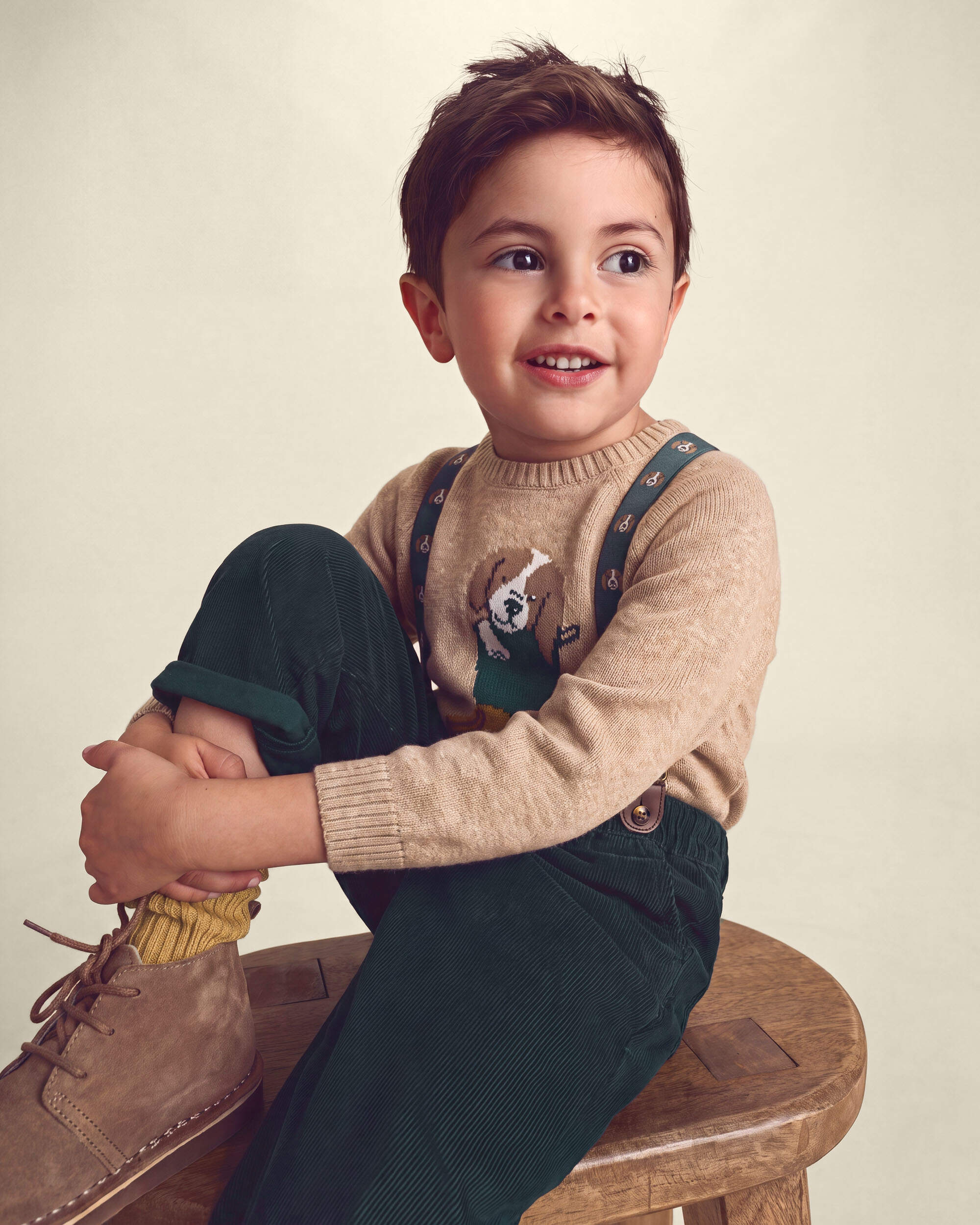 Toddler Boy Dog Sweater - Brown