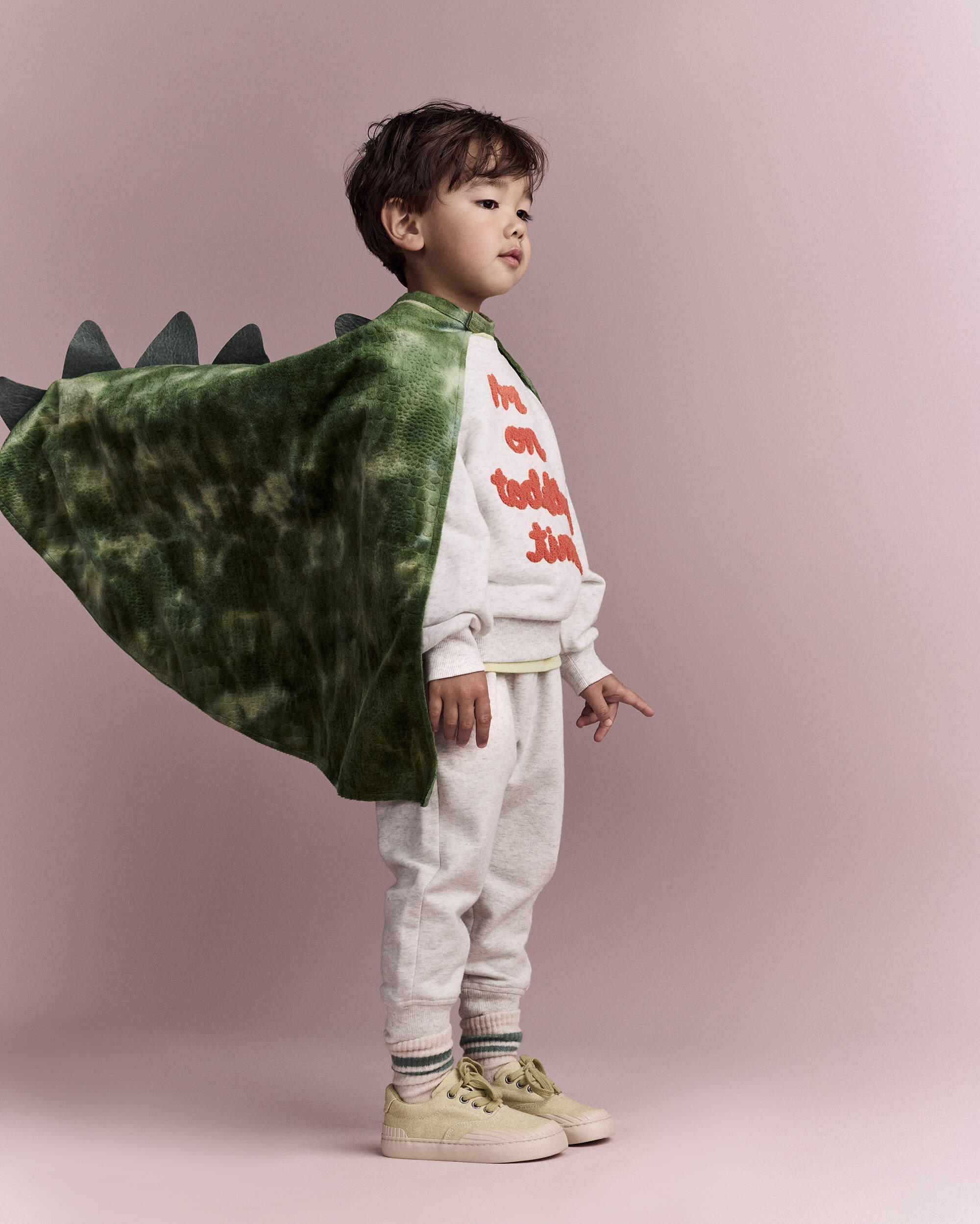 Toddler Believe In Dragons Dress Up Cape - Green