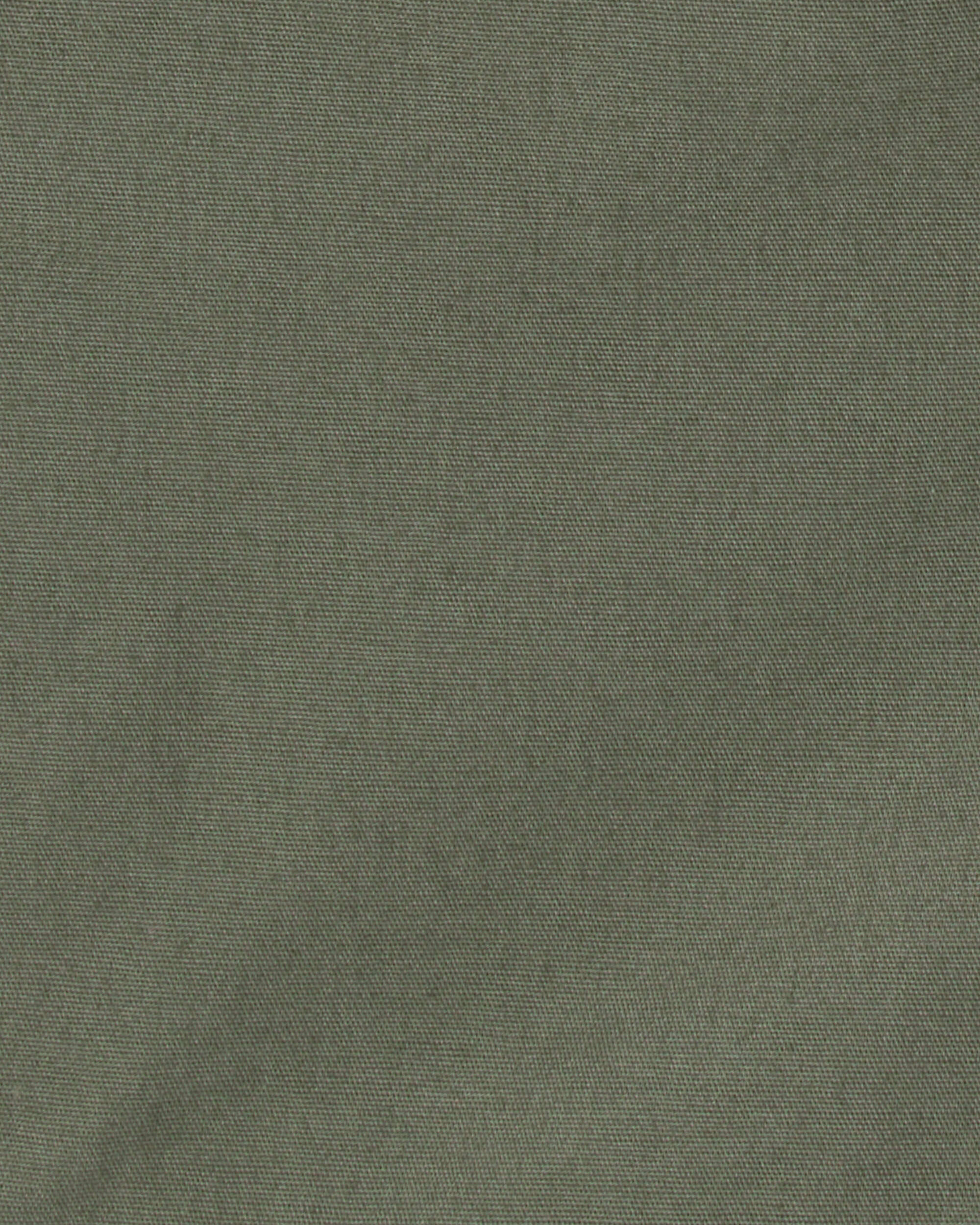 Toddler Boy Canvas Shorts - Green