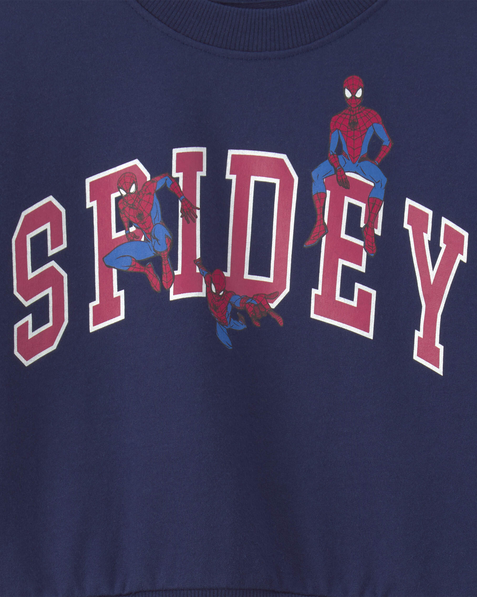 Toddler Boy ©Marvel Spider-Man Pullover Sweatshirt - Navy Blue