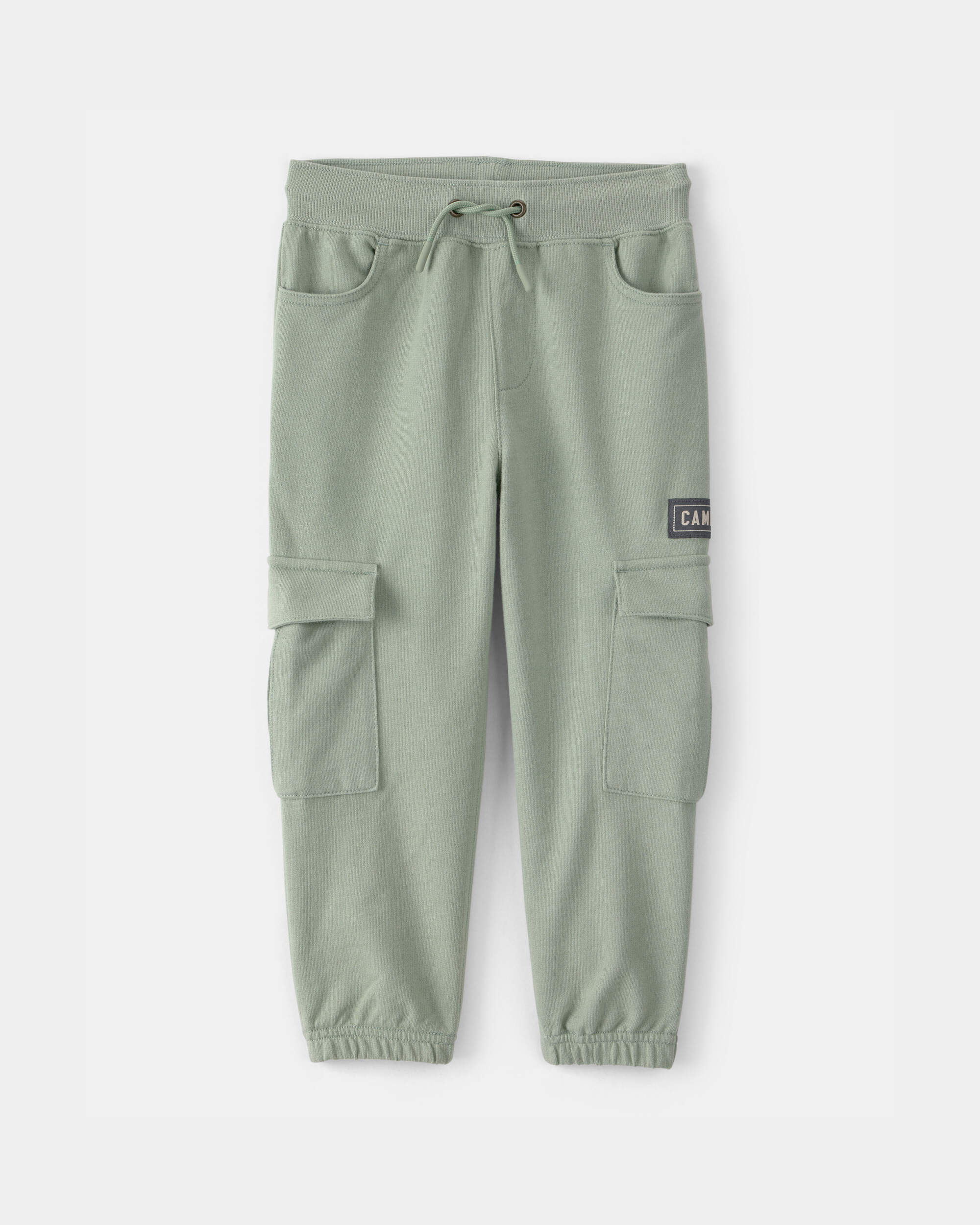 Toddler Boy 'Camp Dino' French Terry Cargo Joggers - Green