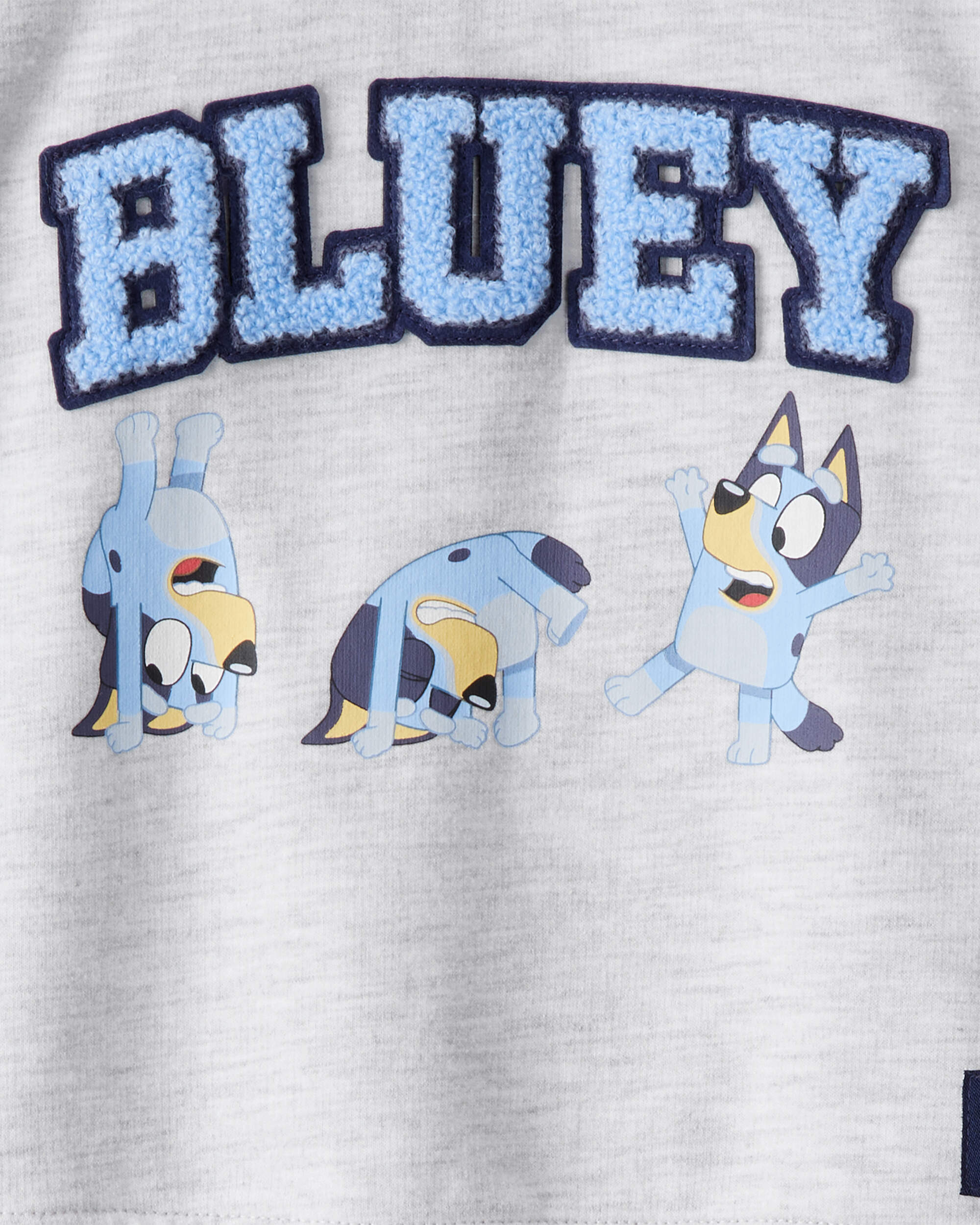 Baby Bluey Colourblock French Terry Sweatshirt - Grey