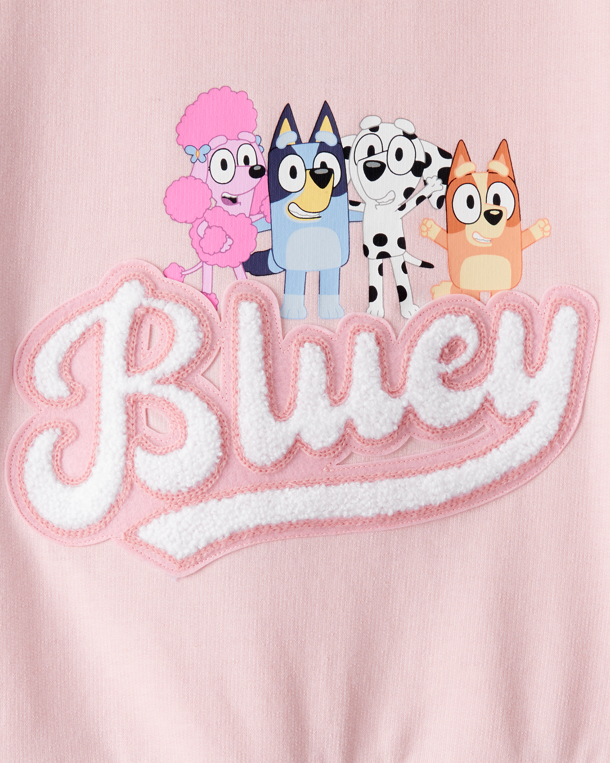 Toddler Girl Bluey French Terry Pullover - Pink