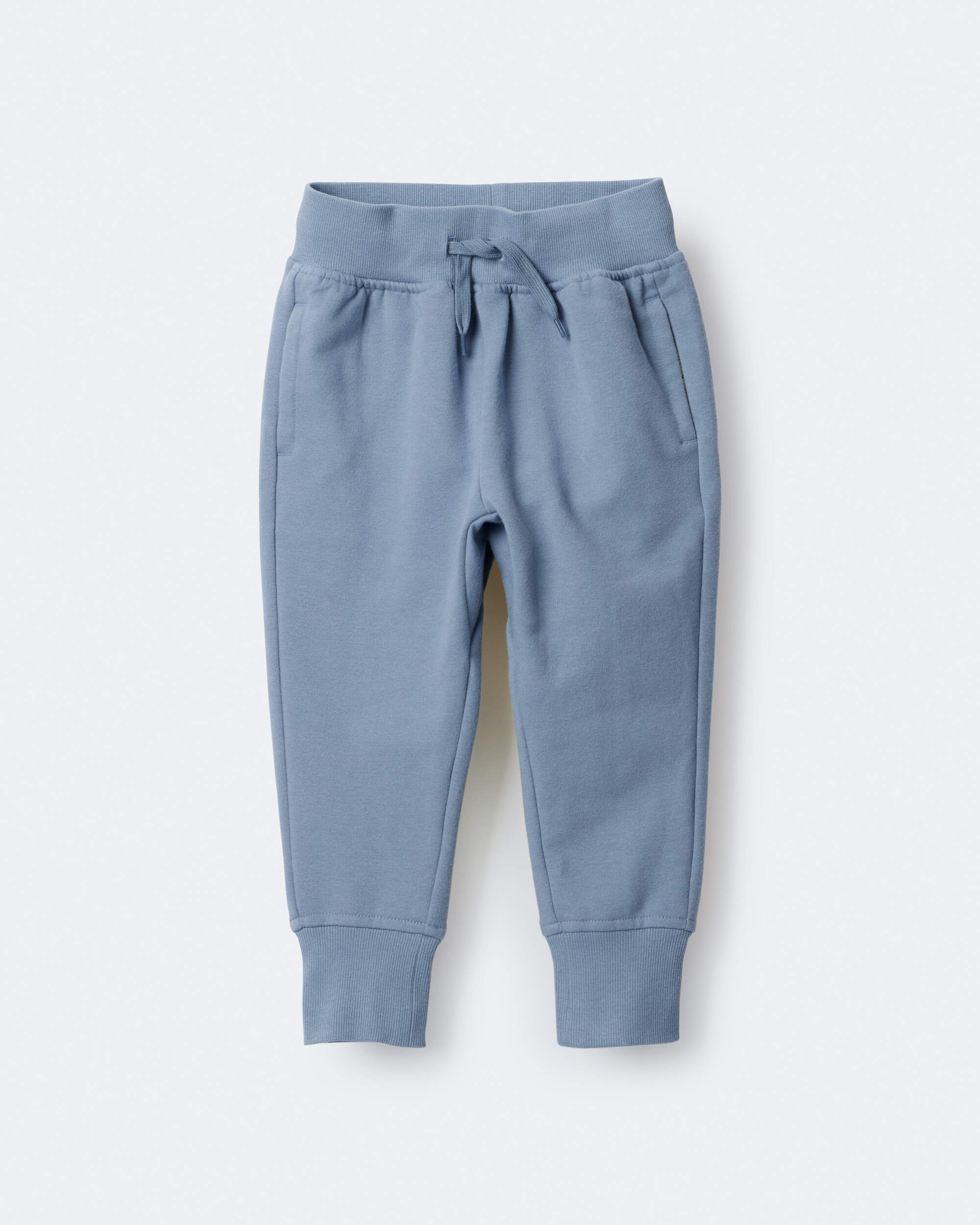 Toddler Neutral City Park™ Jogger Pant - Blue