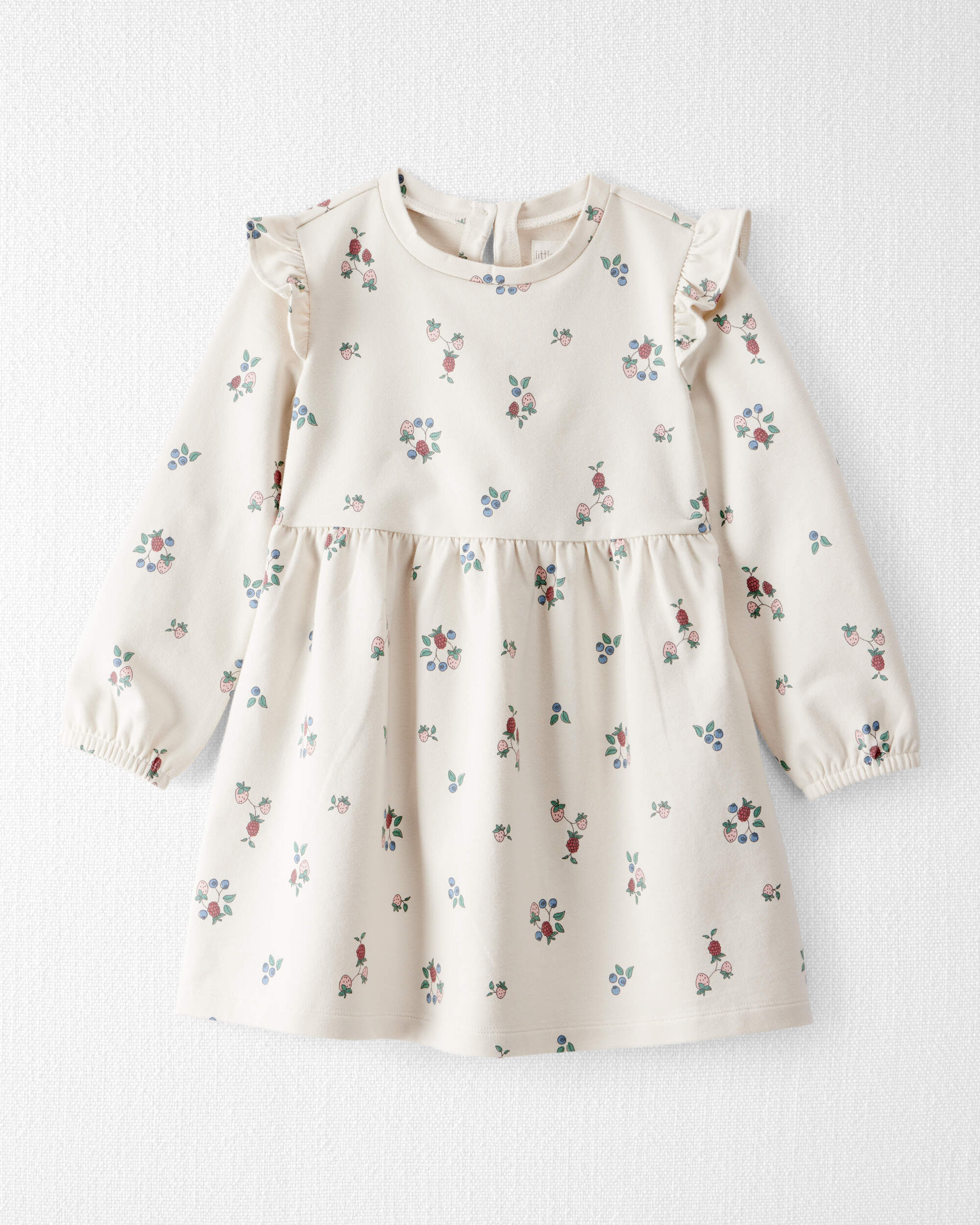 Toddler Girl Organic Cotton French Terry Dress Berry Blossom Print