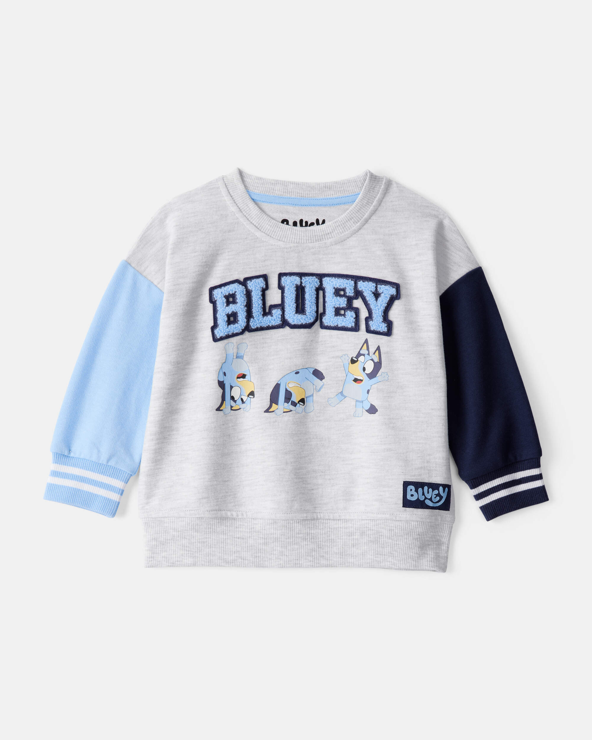 Baby Neutral Bluey Colourblock French Terry Sweatshirt - Grey
