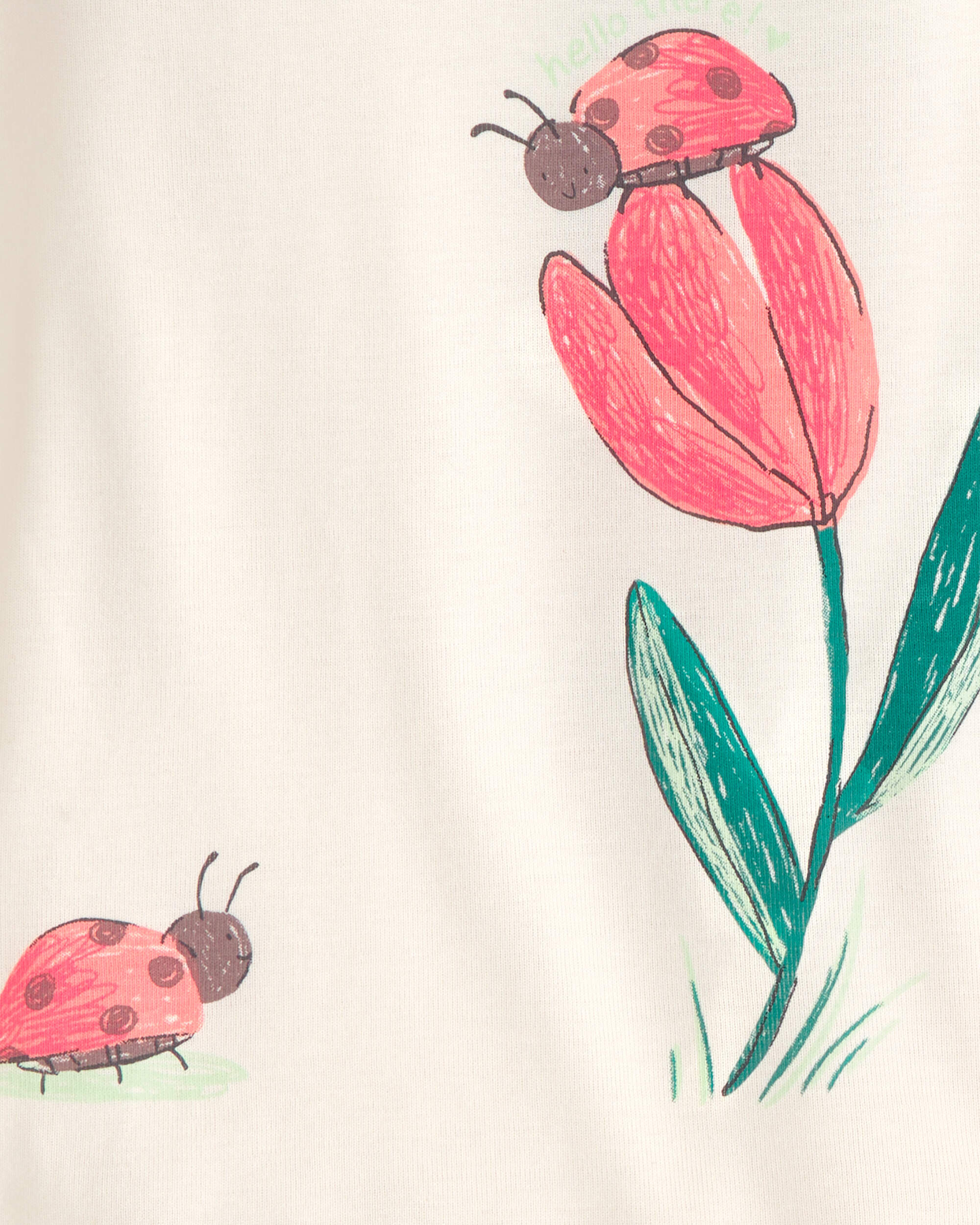 Baby Girl Ladybug Floral 100% Cotton Snug Fit 4-Piece pyjama Set - Pink/Green