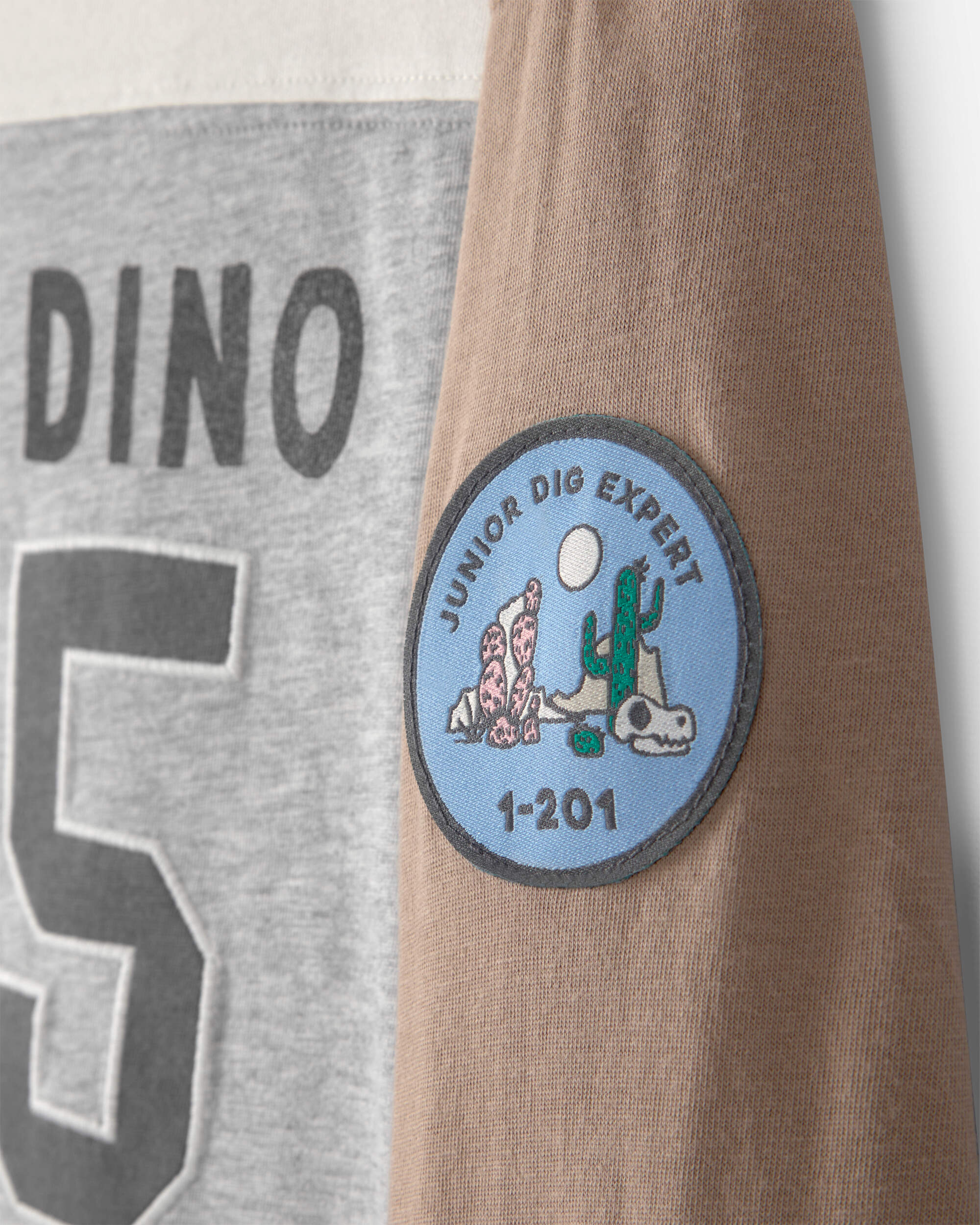 Toddler Boy 'Camp Dino' Long-Sleeve T-Shirt - Brown/Grey