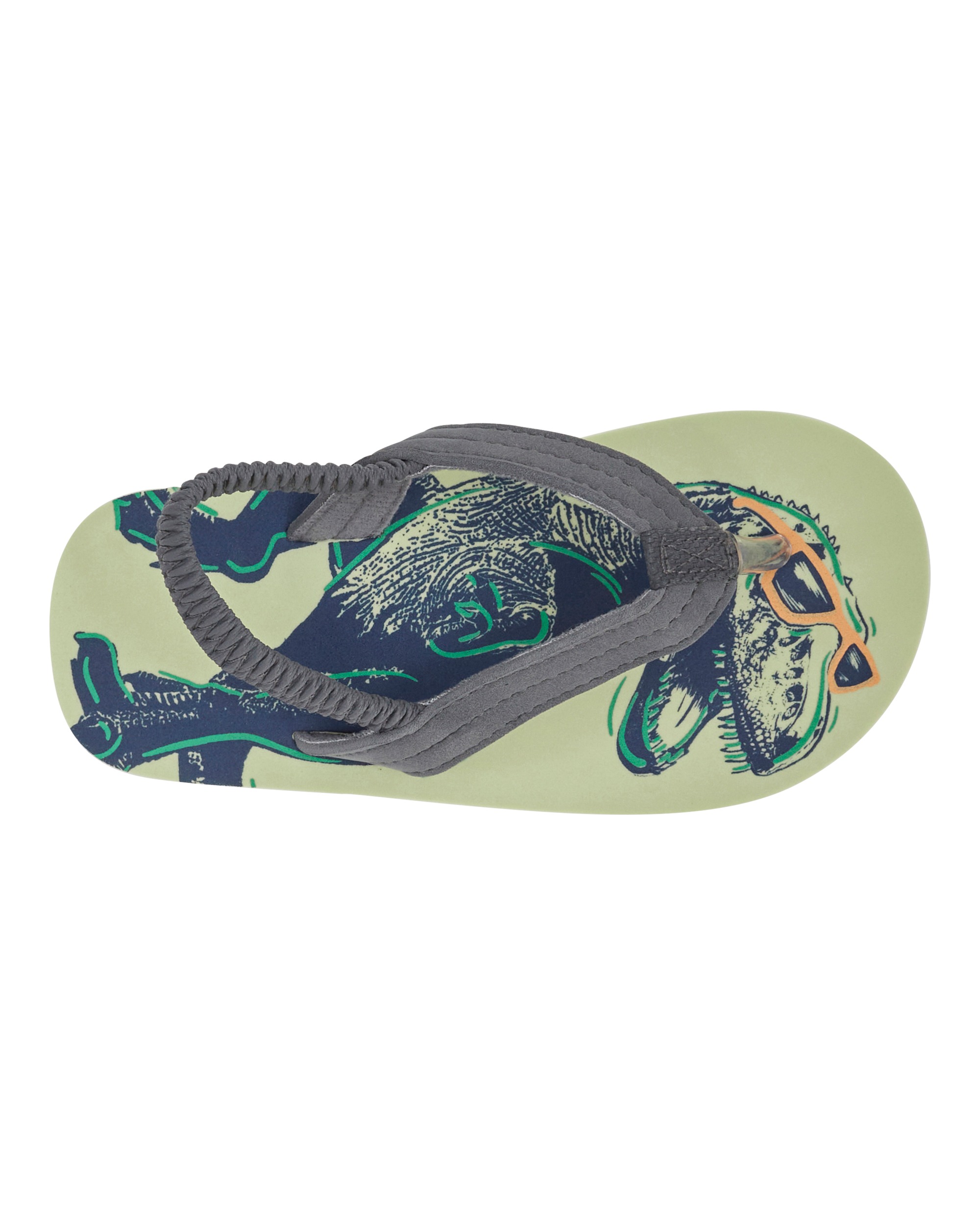 Dinosaur Flip Flops