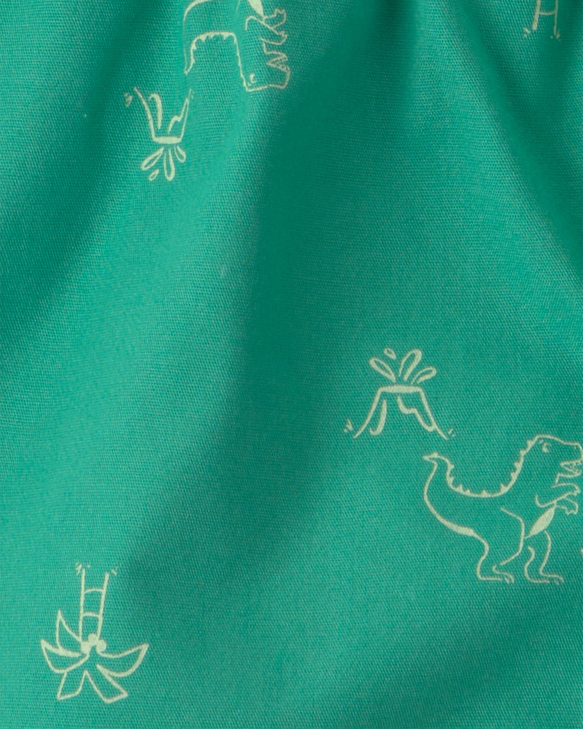 Baby Boy 2-Piece Dinosaur Top & Short Set - Green