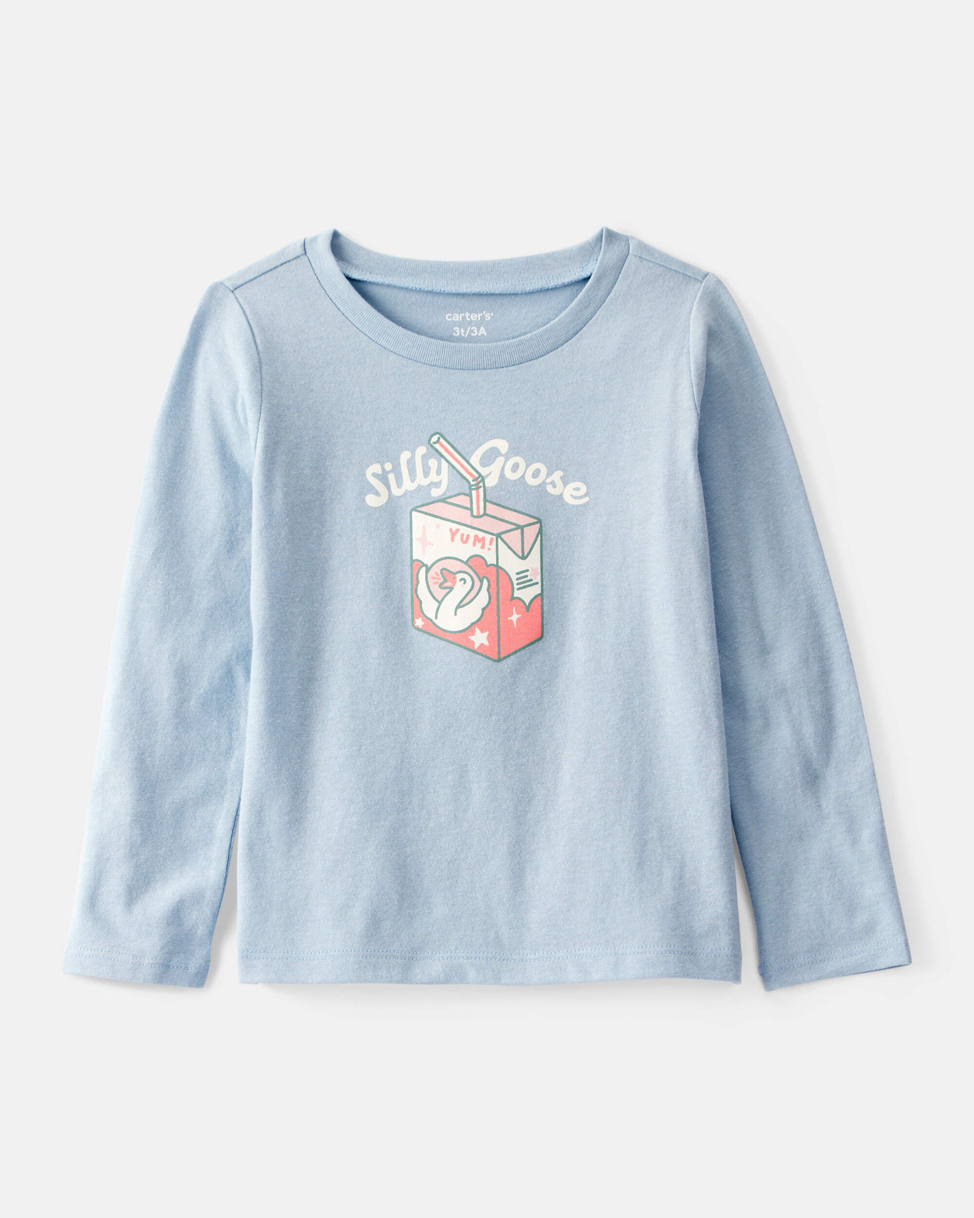 Toddler Girl Silly Goose Long-Sleeve Graphic Tee - Blue