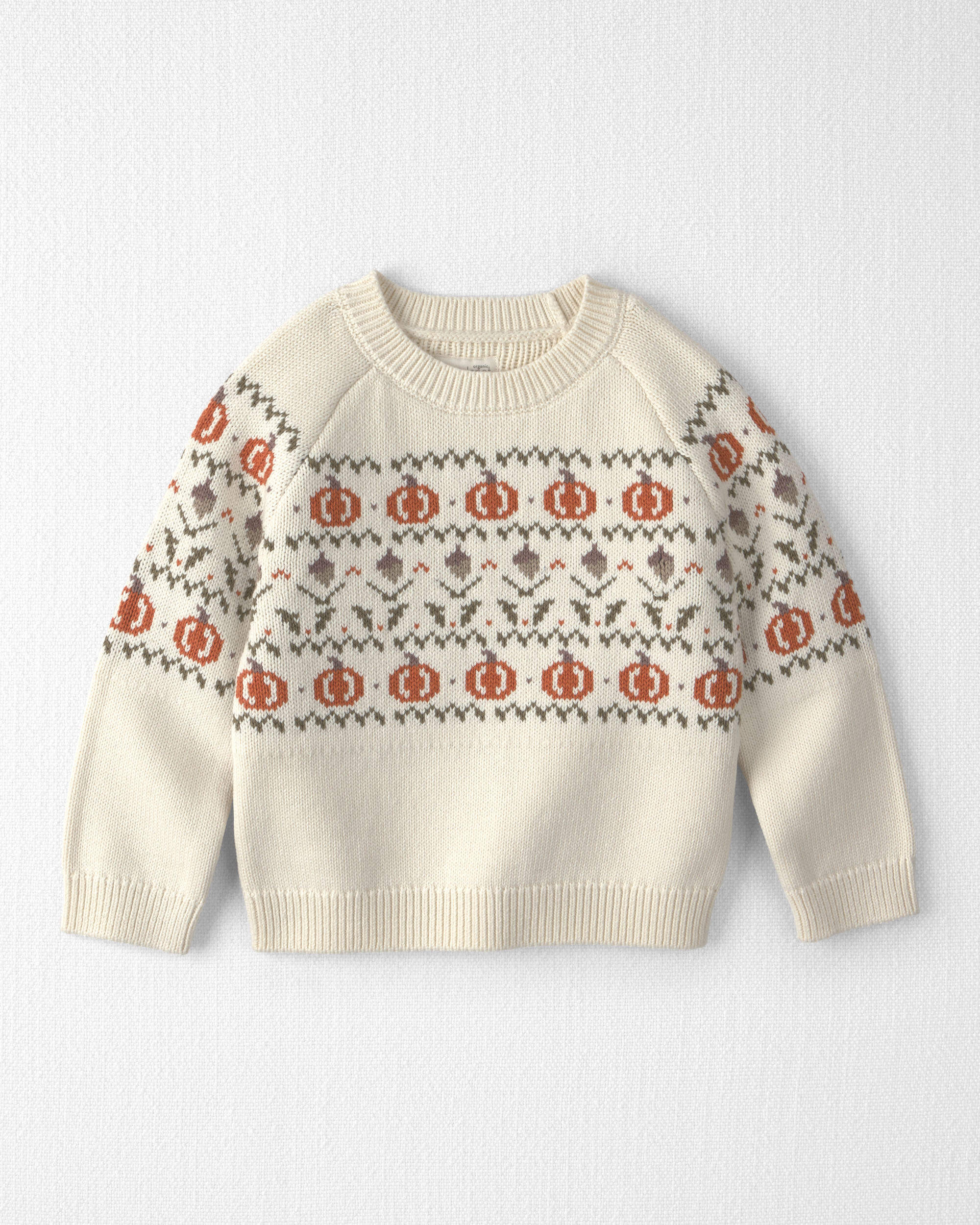 Toddler Organic Cotton Fair Isle Sweater Knit Pullover