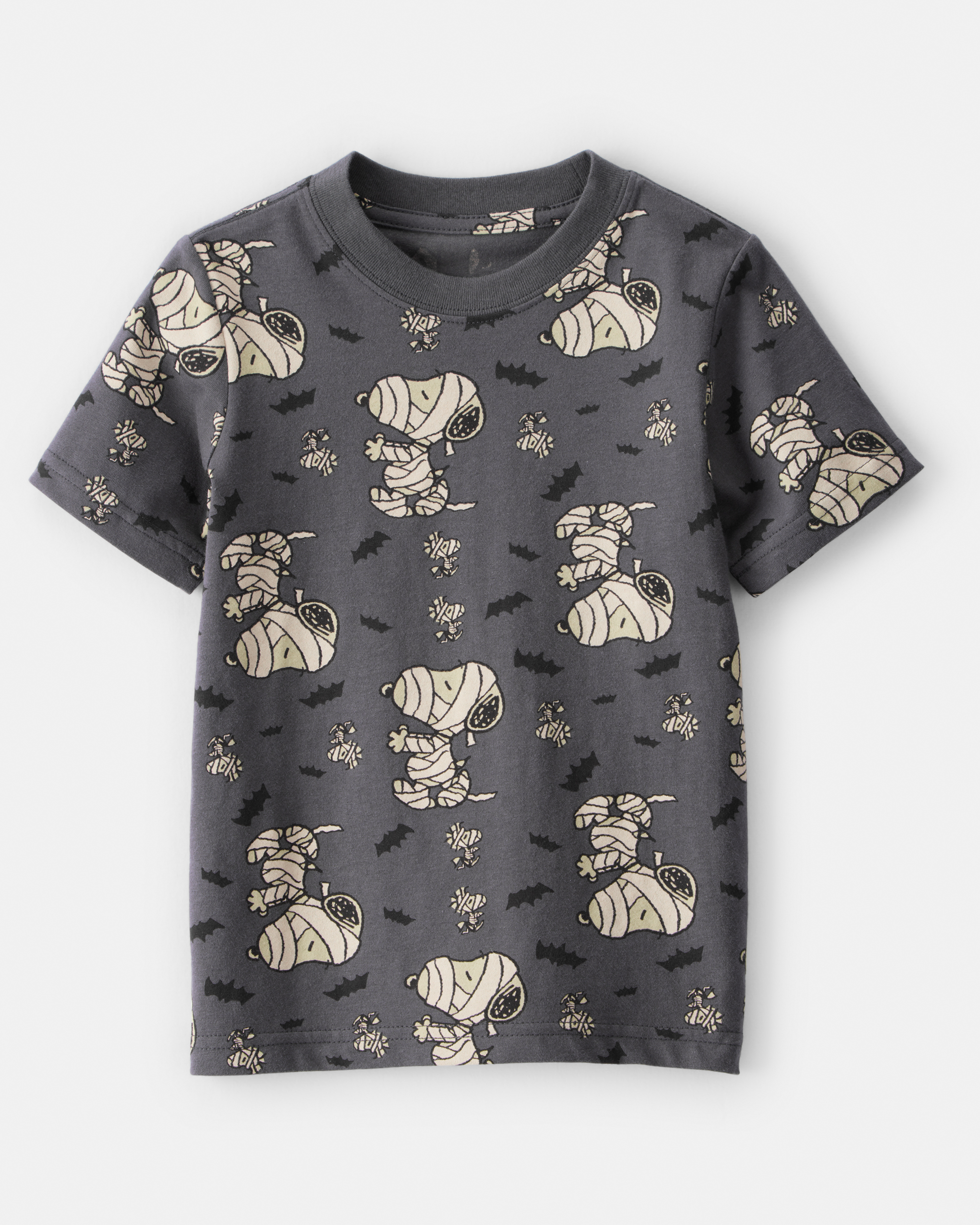 Toddler Boy Snoopy Mummy Halloween Tee