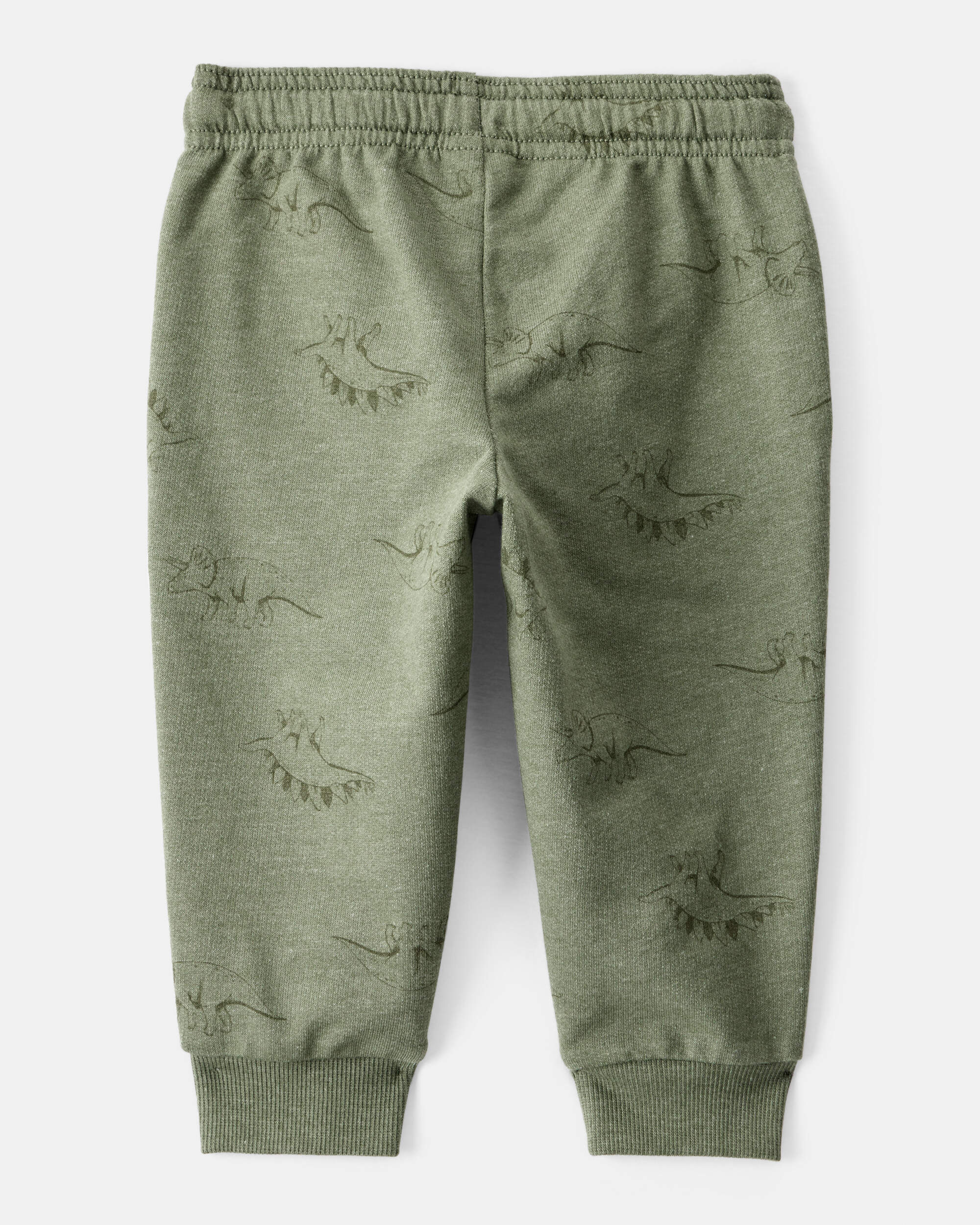 Baby Boy Dinosaur French Terry Jogger - Green