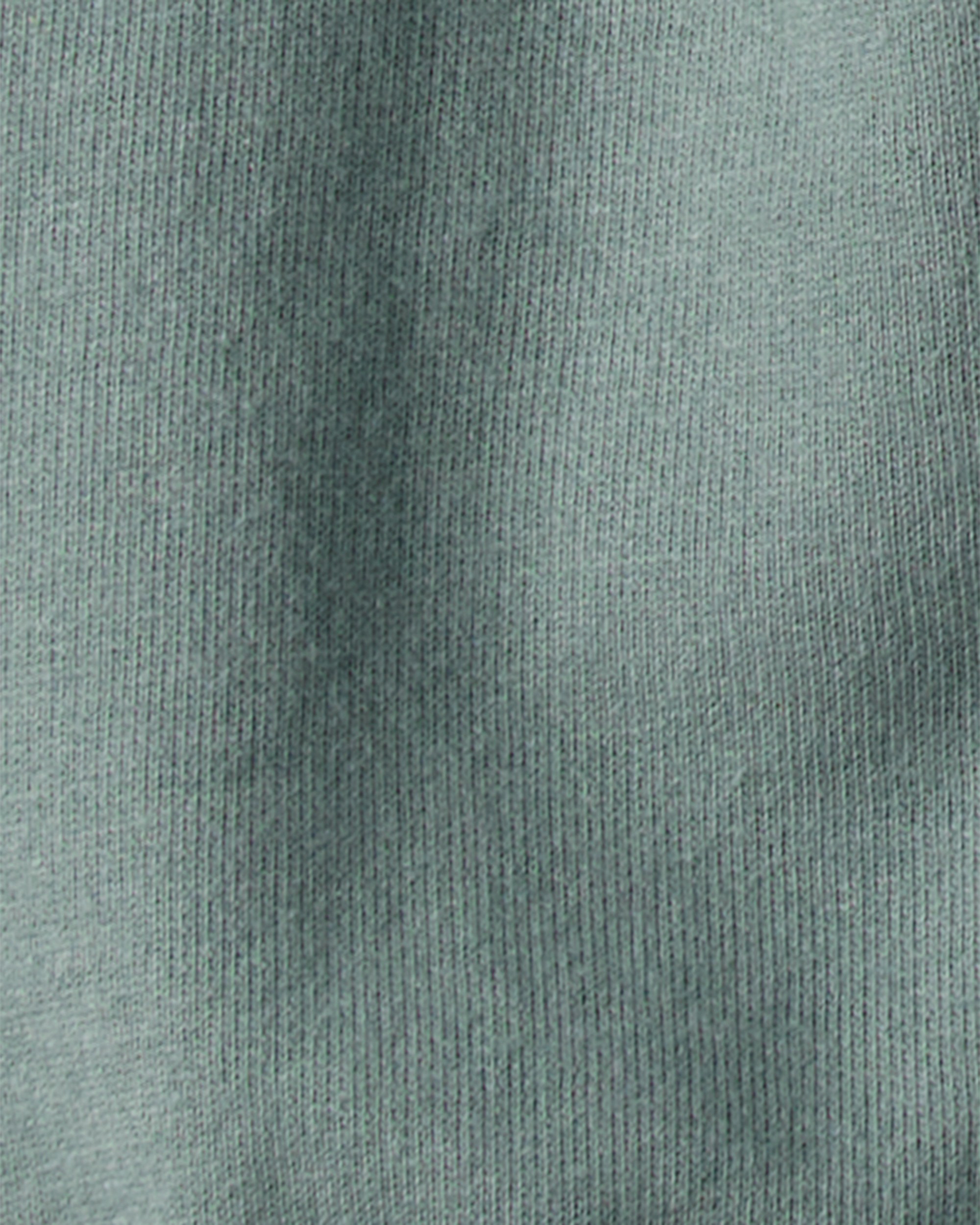 Baby Boy Dinosaur French Terry Long-Sleeve Tee & Pant Set- Green/Grey