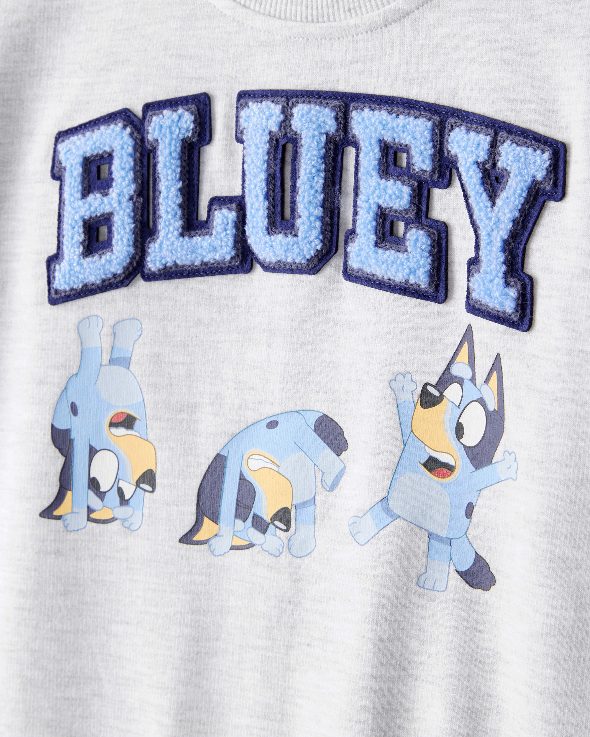 Toddler Neutral Bluey Colourblock French Terry Sweatshirt - Grey