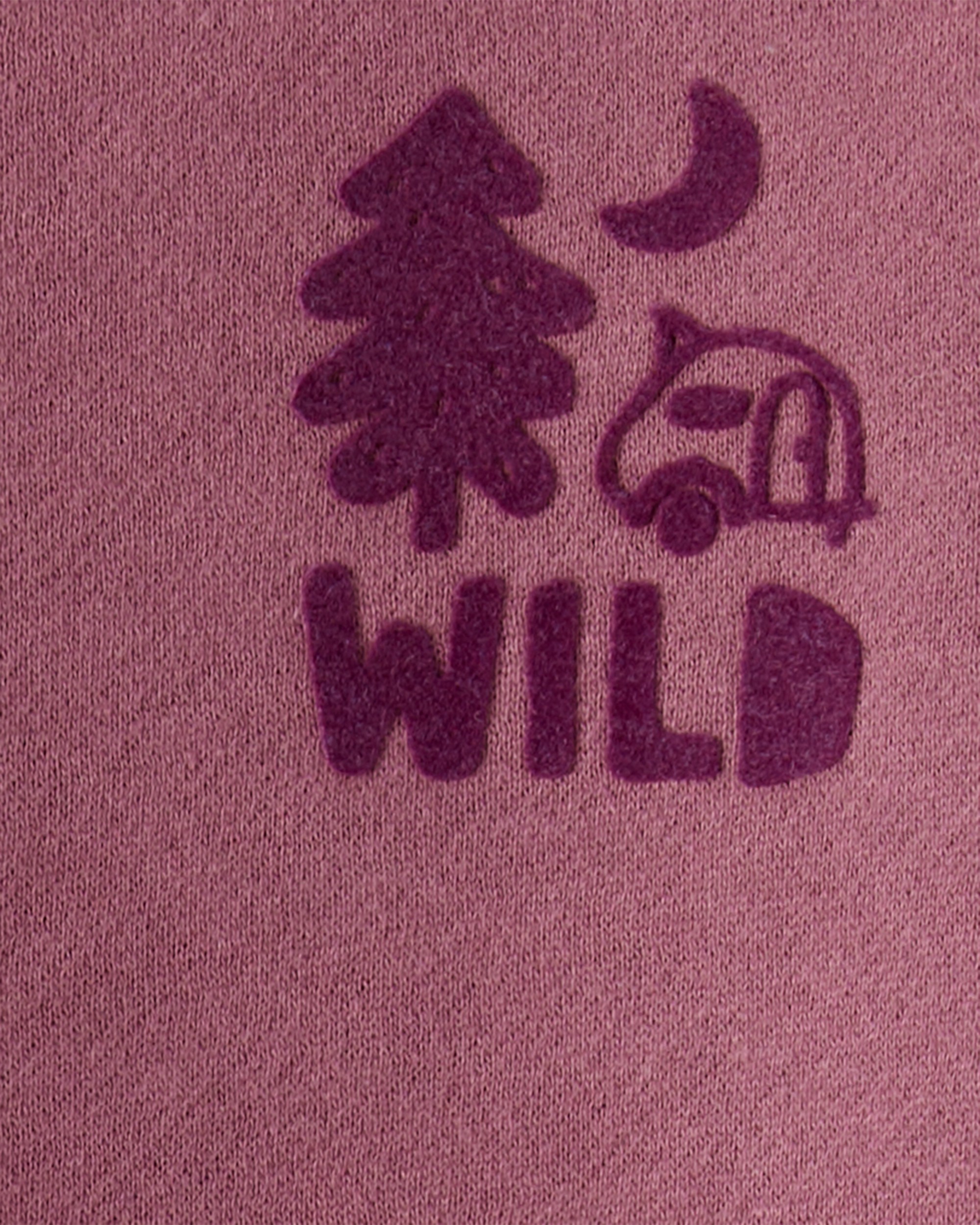 Baby Boy 2-Piece Camping Fleece Sweatshirt & Pant Set - Maroon/Blue