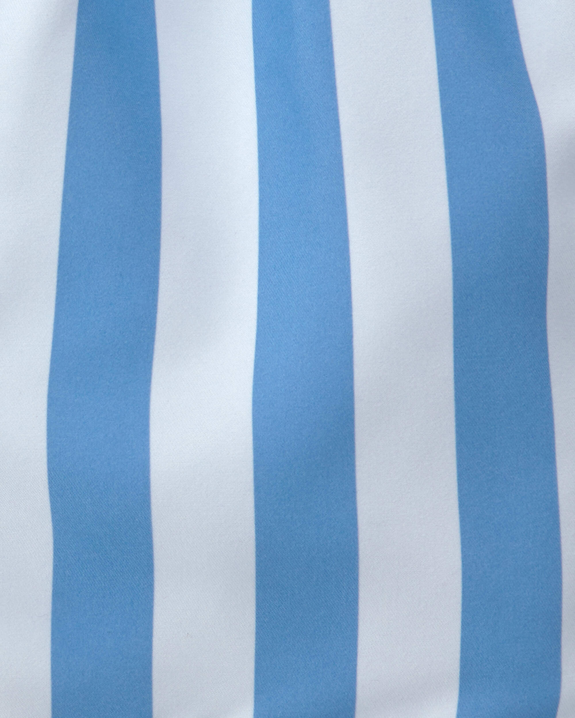 Toddler Boy Striped Swim Trunks - Blue