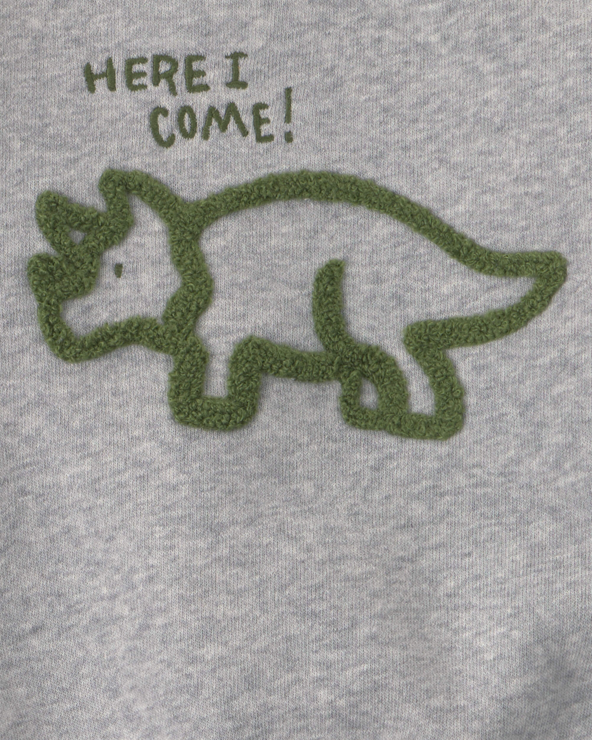 Baby Boy 2-Piece Dinosaur Fleece Pullover & Pant Set - Grey
