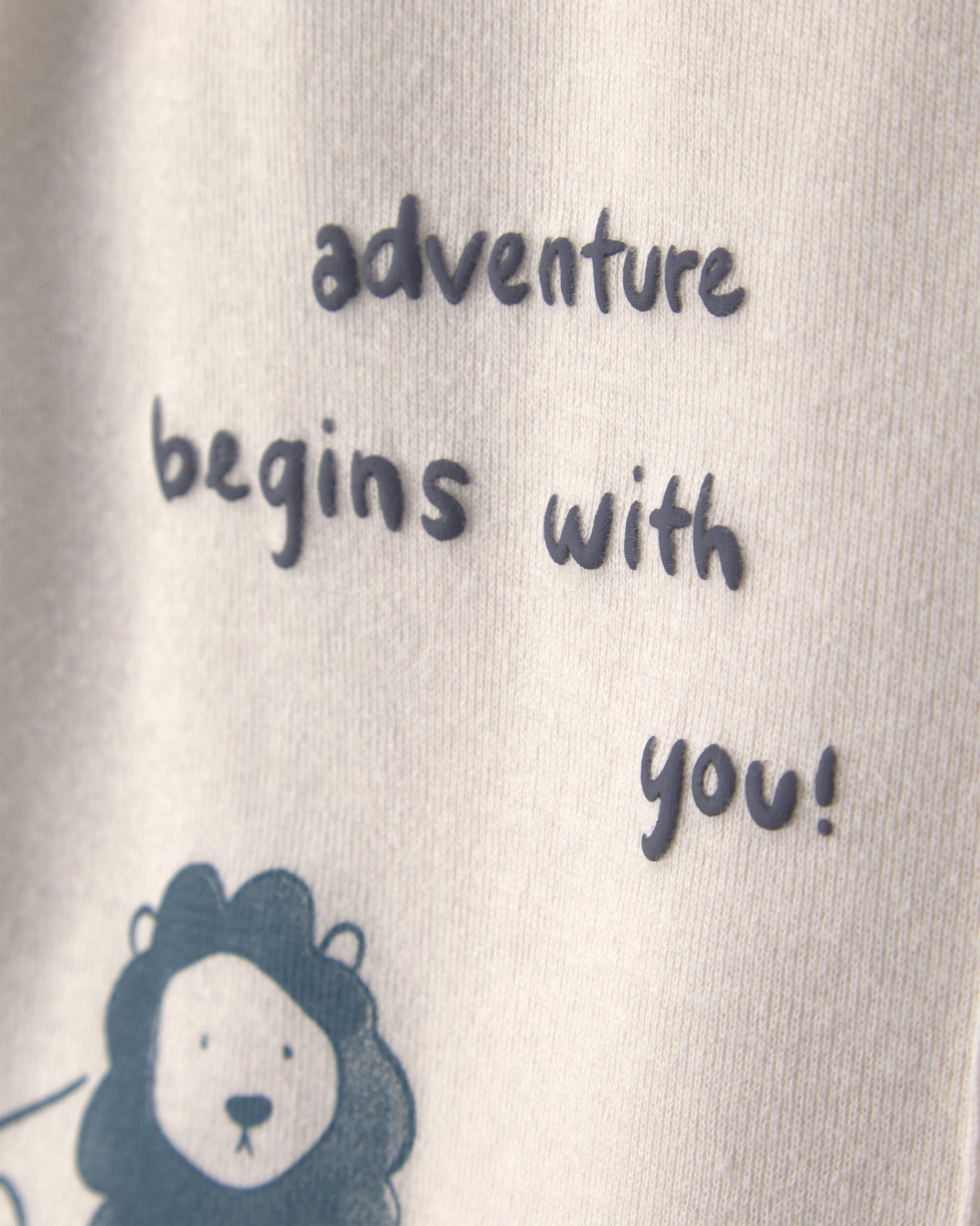 Baby Boy 4-Piece Lion Top & Pant Set