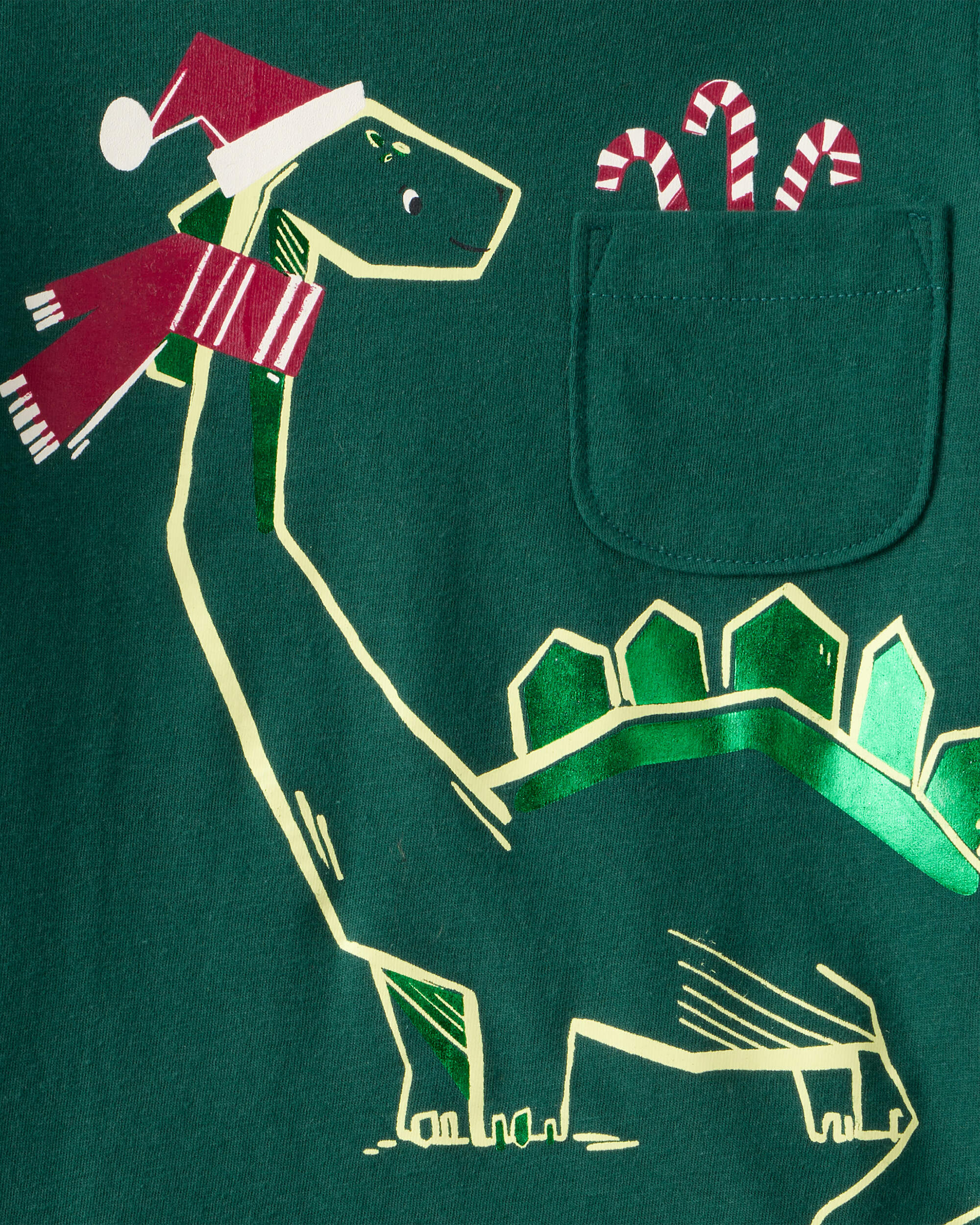 Toddler Boy Dinosaur Holiday T-Shirt - Green
