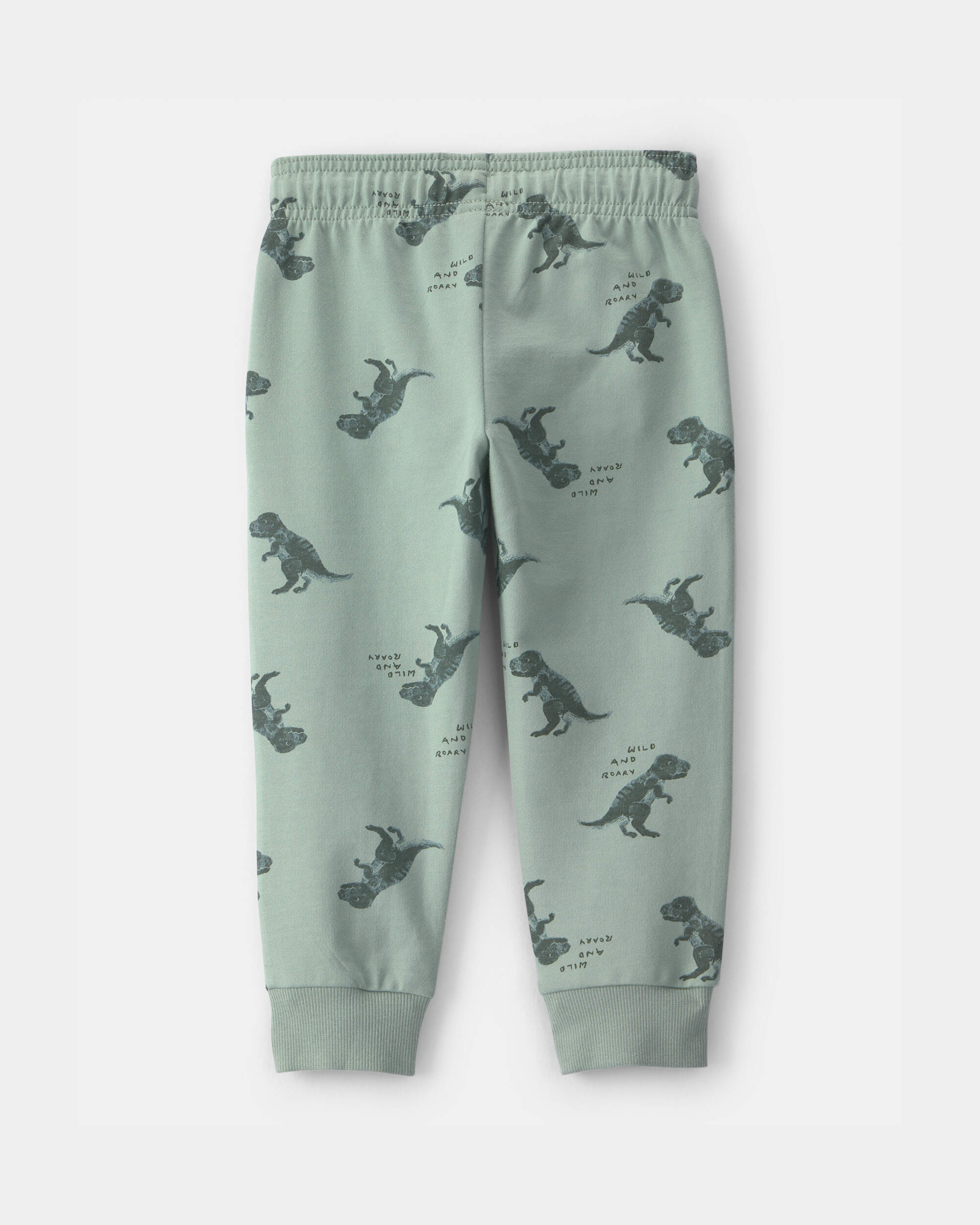 Toddler Boy Dinosaur French Terry Jogger - Green