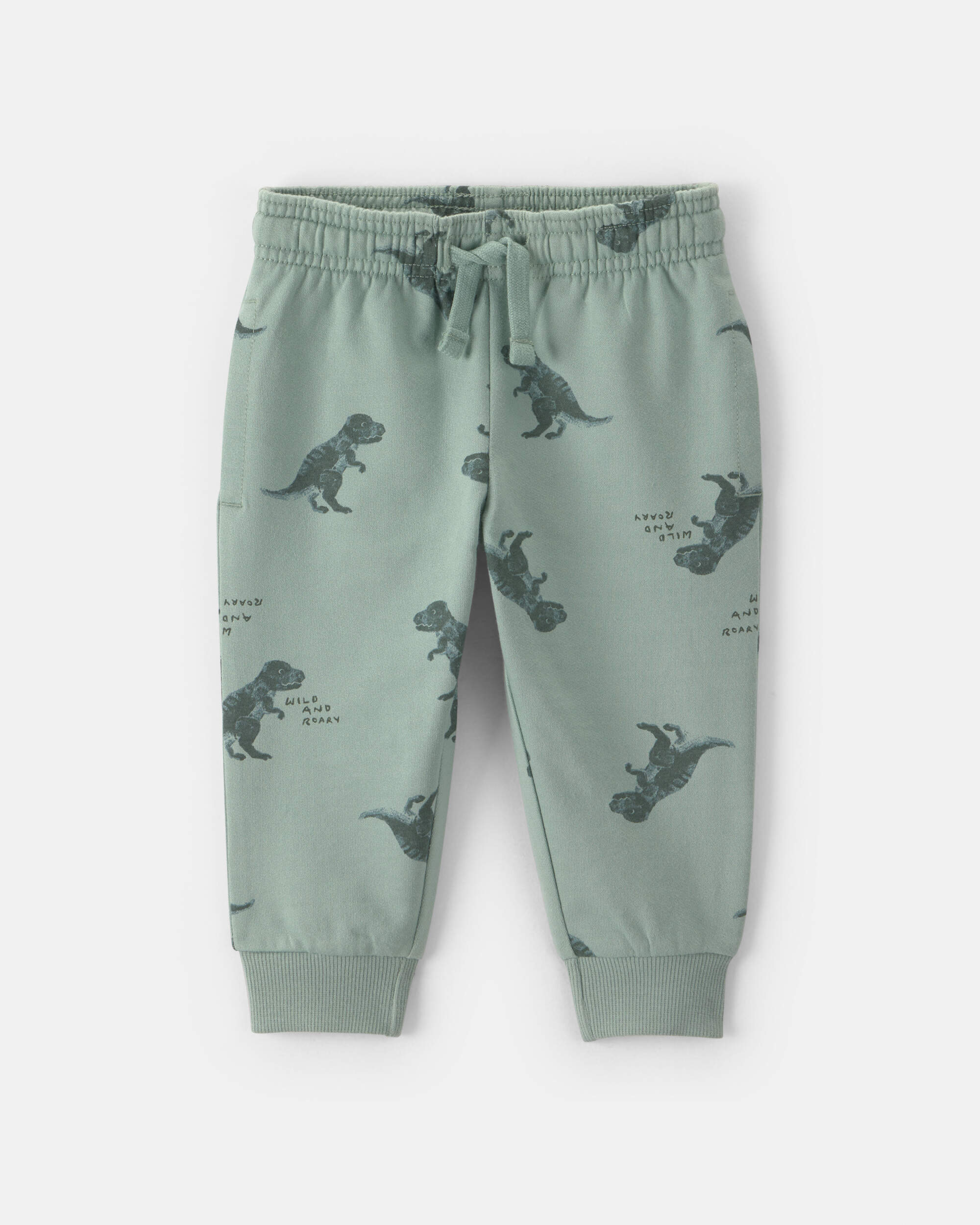 Baby Boy Dinosaur French Terry Jogger - Green