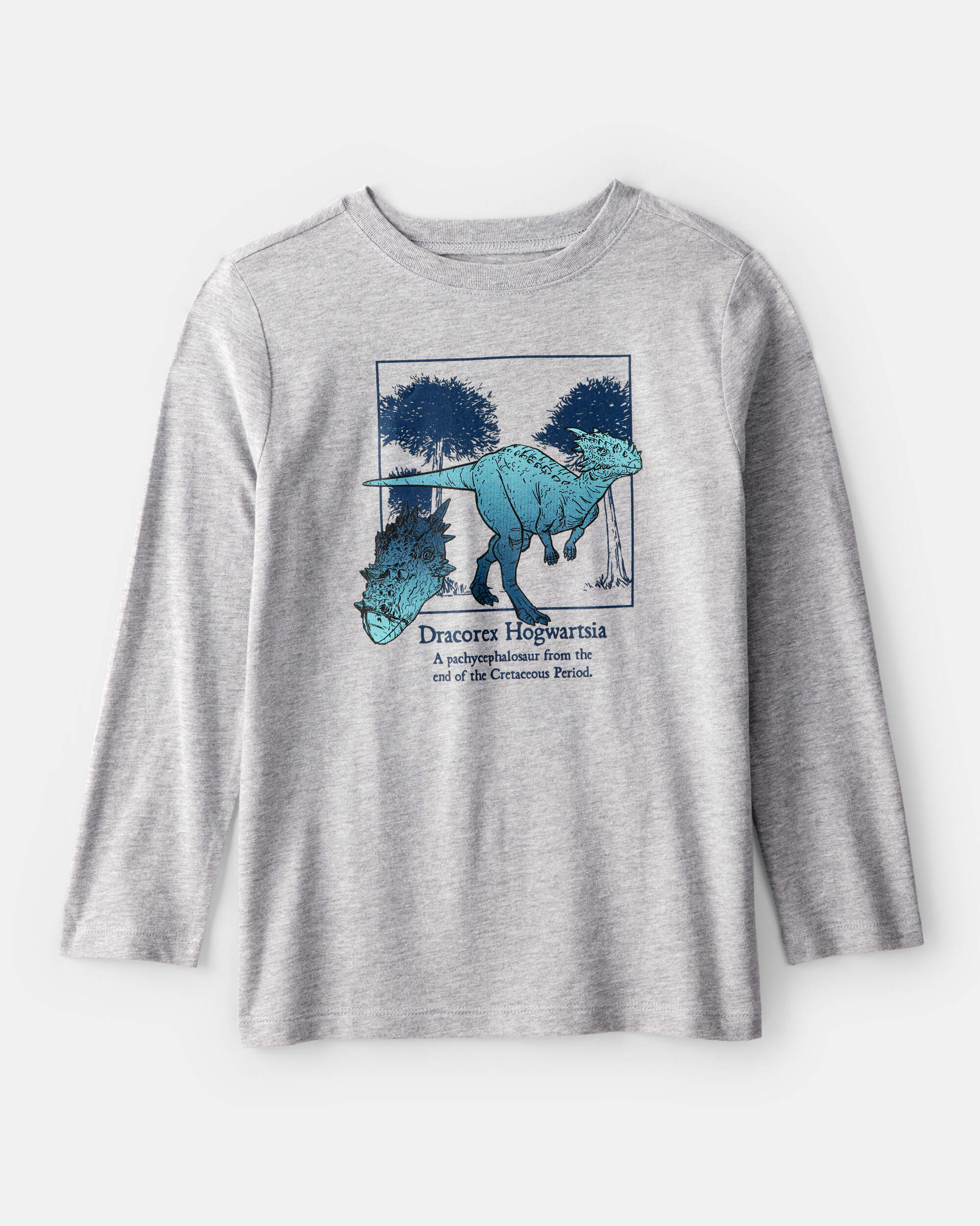 Boys Dinosaur Long-Sleeve Graphic Tee - Grey