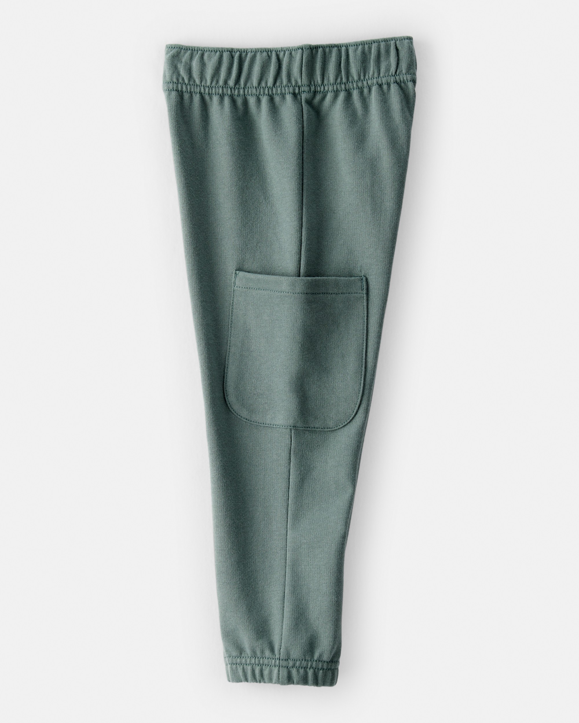 Toddler Boy Dinosaur French Terry Long-Sleeve Tee & Pant Set- Green/Grey