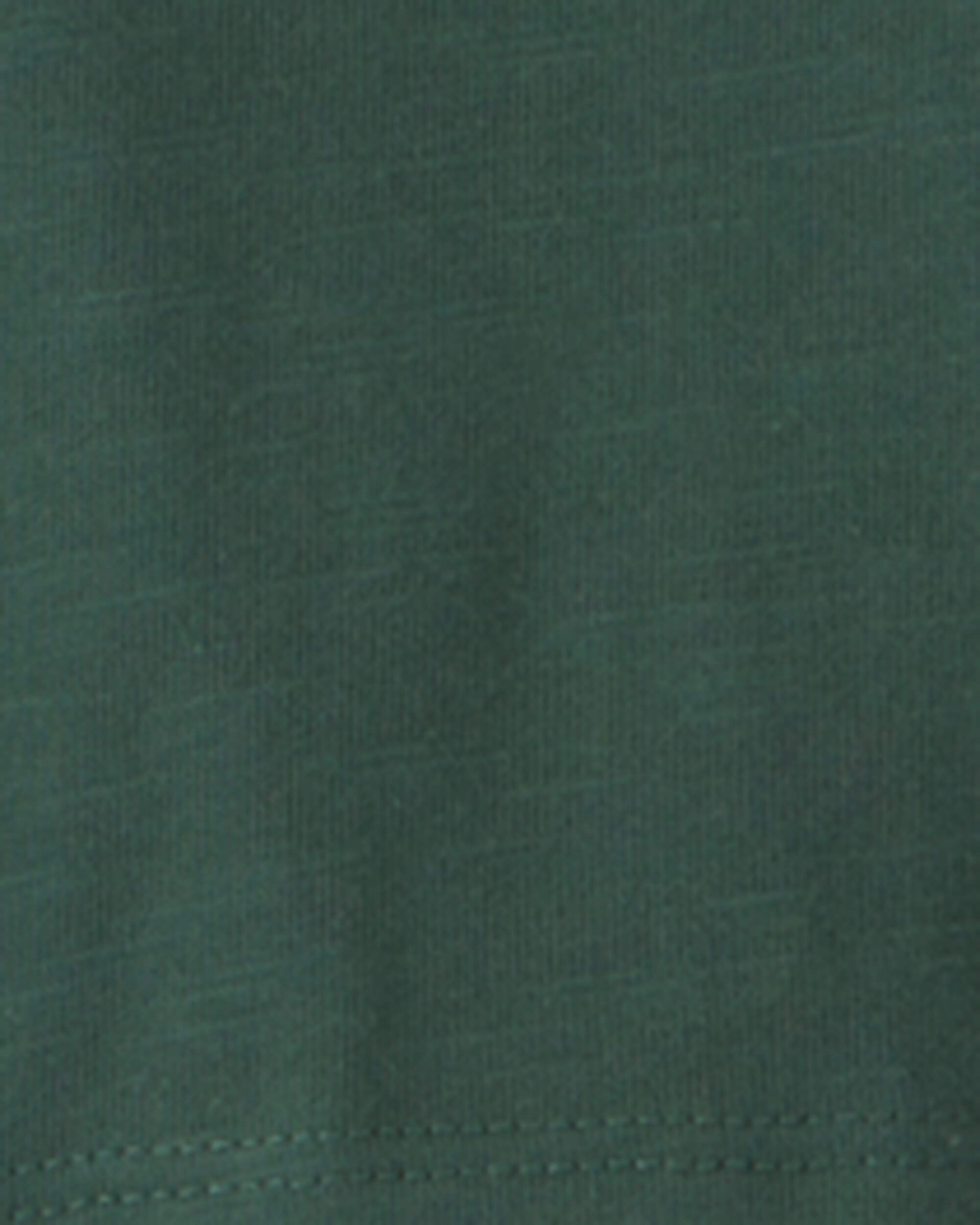 Toddler Boy 2-Pack Organic Cotton T-Shirts