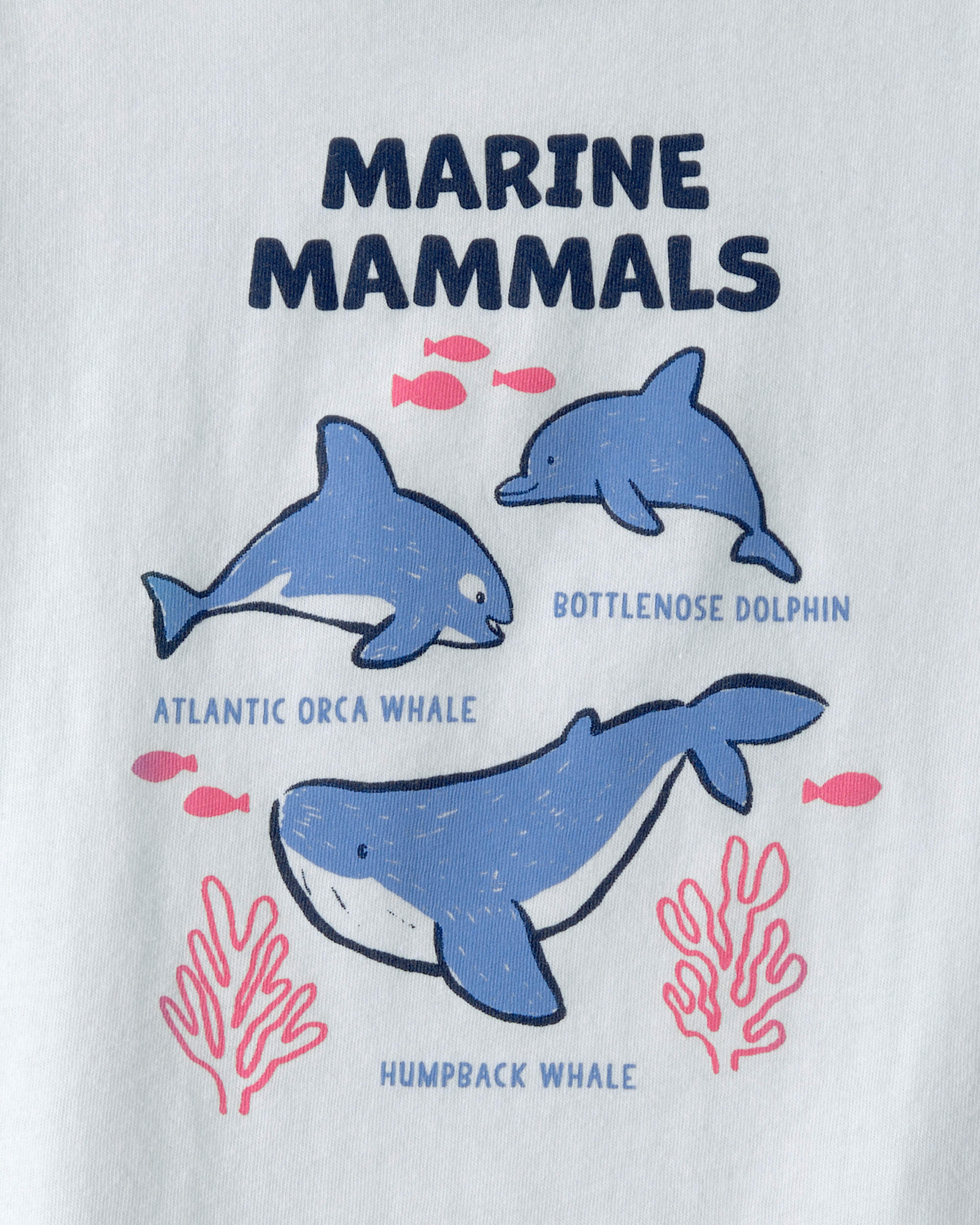 Toddler Dolphin Graphic Tee - Blue