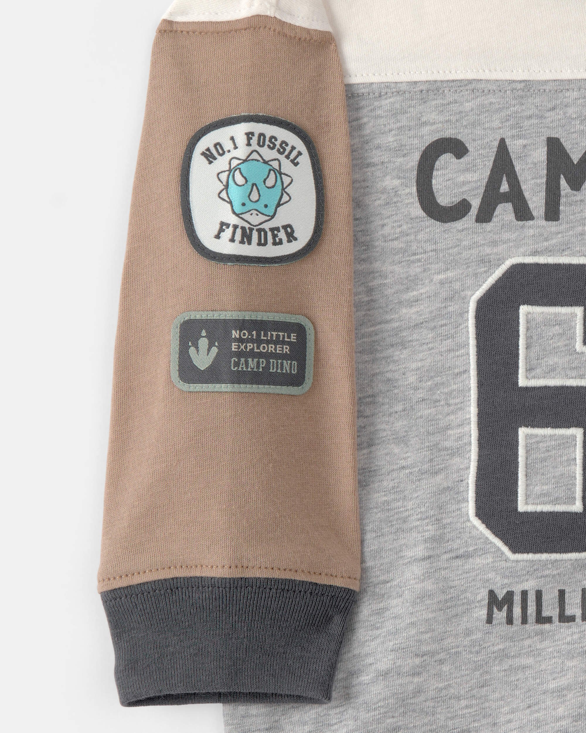 Baby Boy 'Camp Dino' Long-Sleeve T-Shirt - Brown/Grey