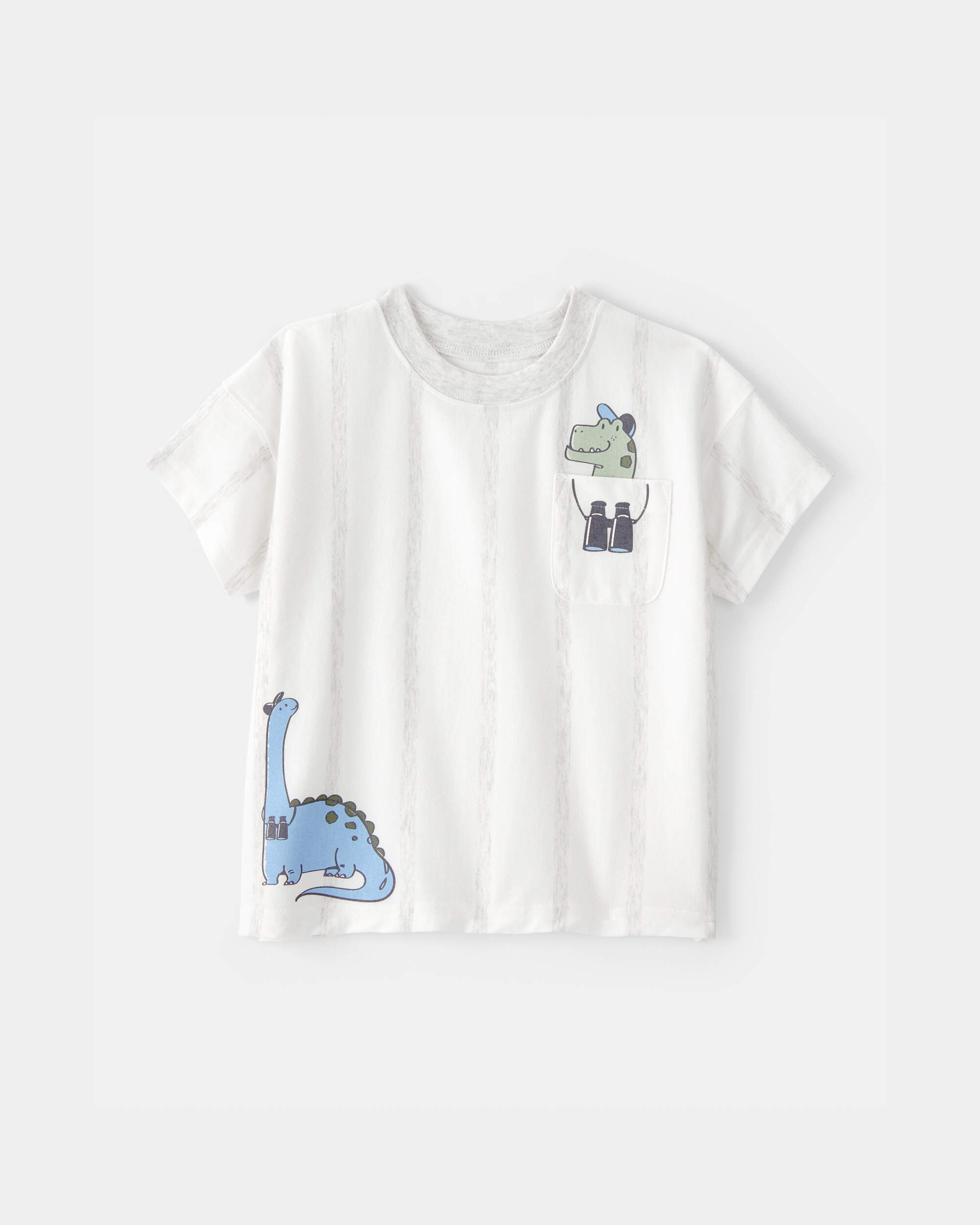Toddler Boy Dinosaur Graphic Tee - White