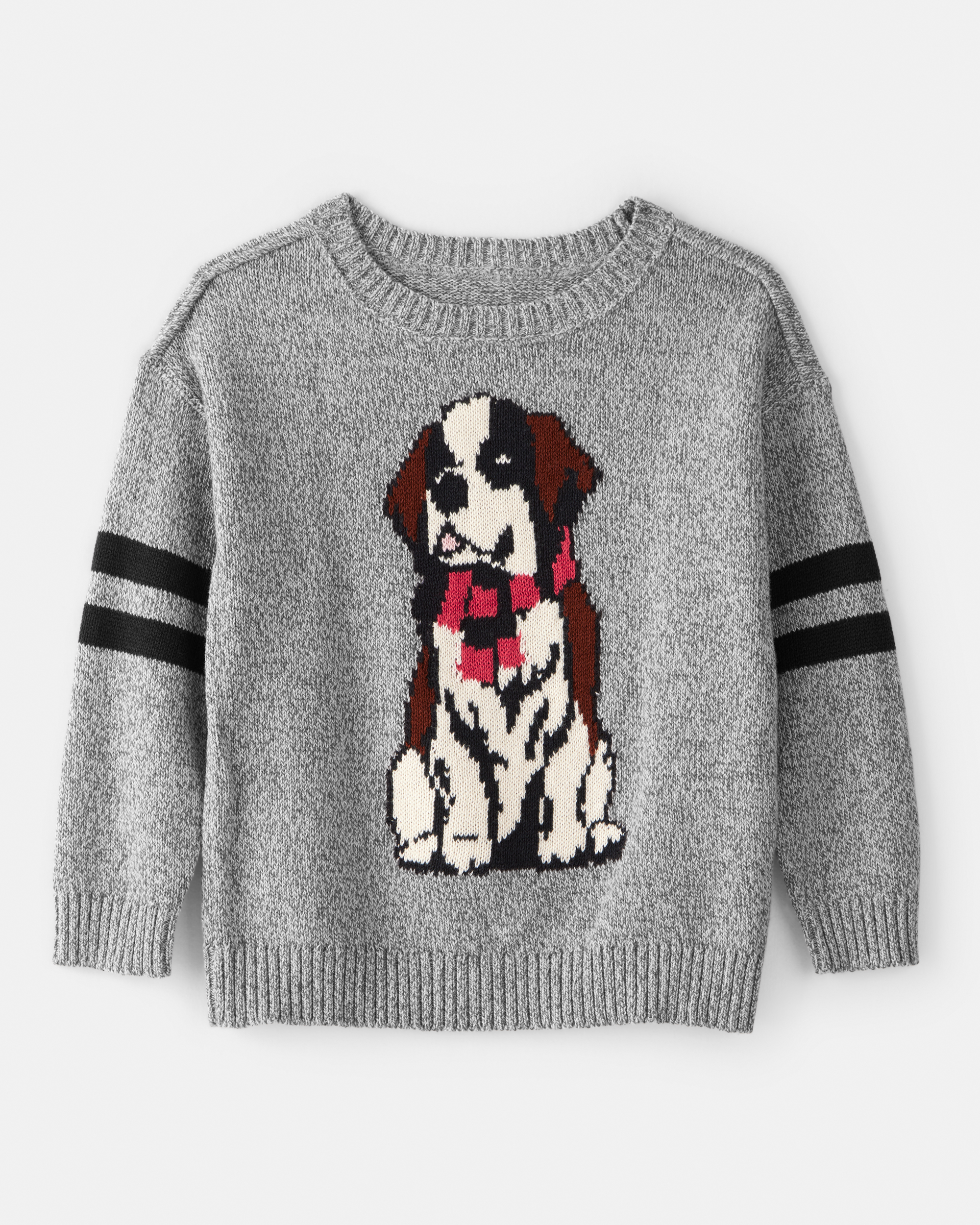 Toddler Boy Dog Sweater - Grey