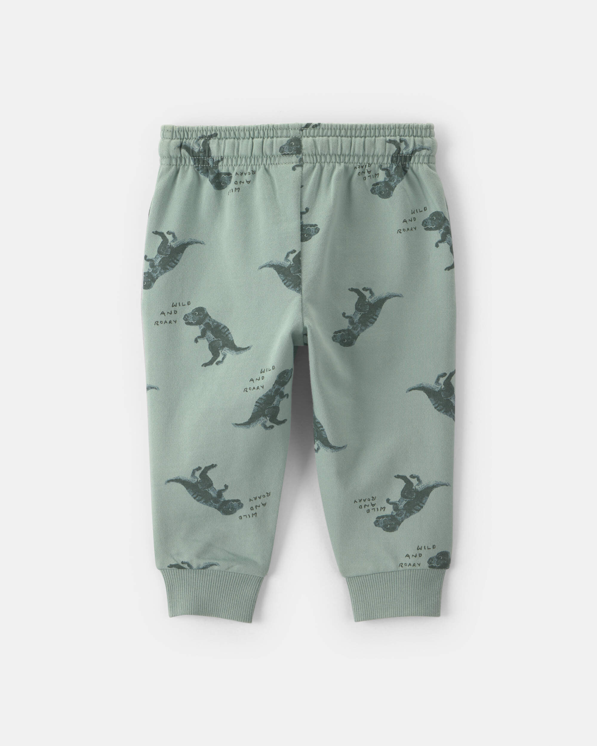 Baby Boy Dinosaur French Terry Jogger - Green
