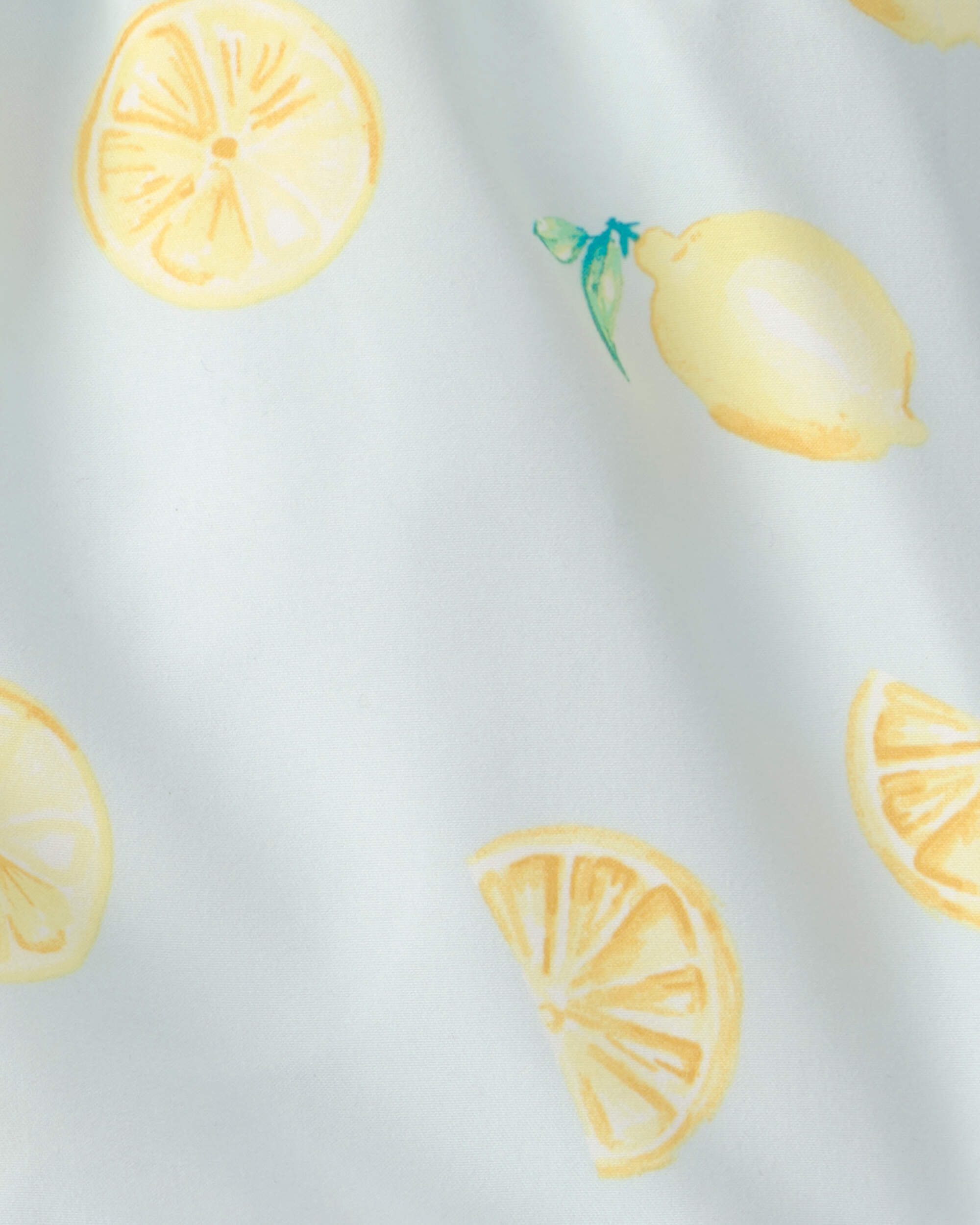 Toddler Boy Lemon Swim Trunks - Blue