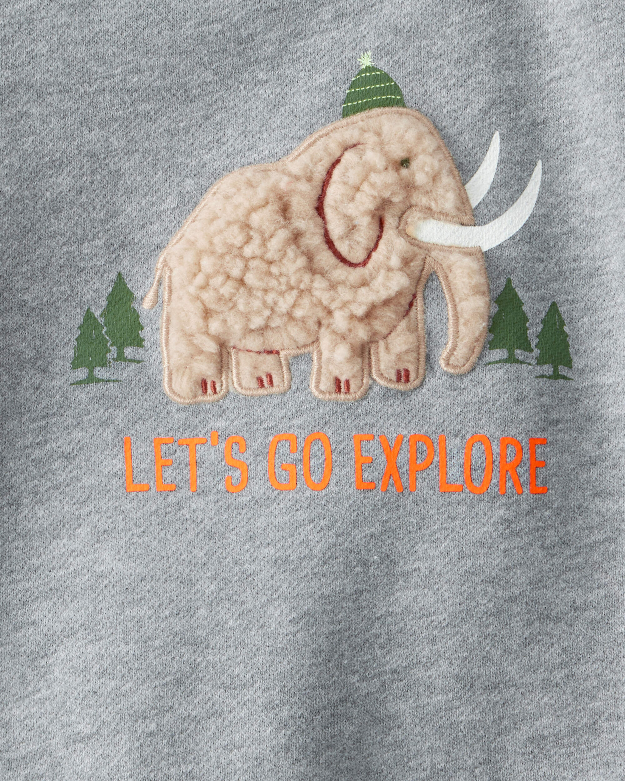 Baby Boy Mammoth Pullover Sweatshirt - Grey