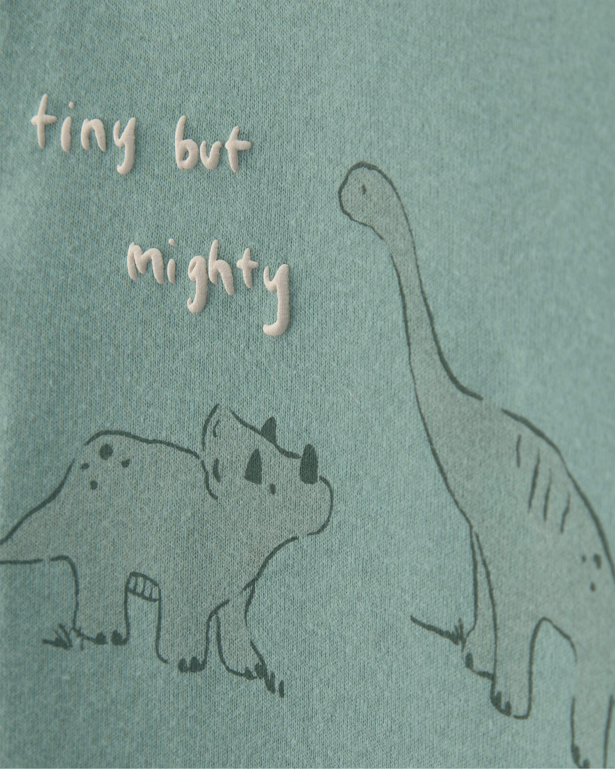 Baby Boy 4-Piece Dinosaur Outfit Set - Green/Ivory